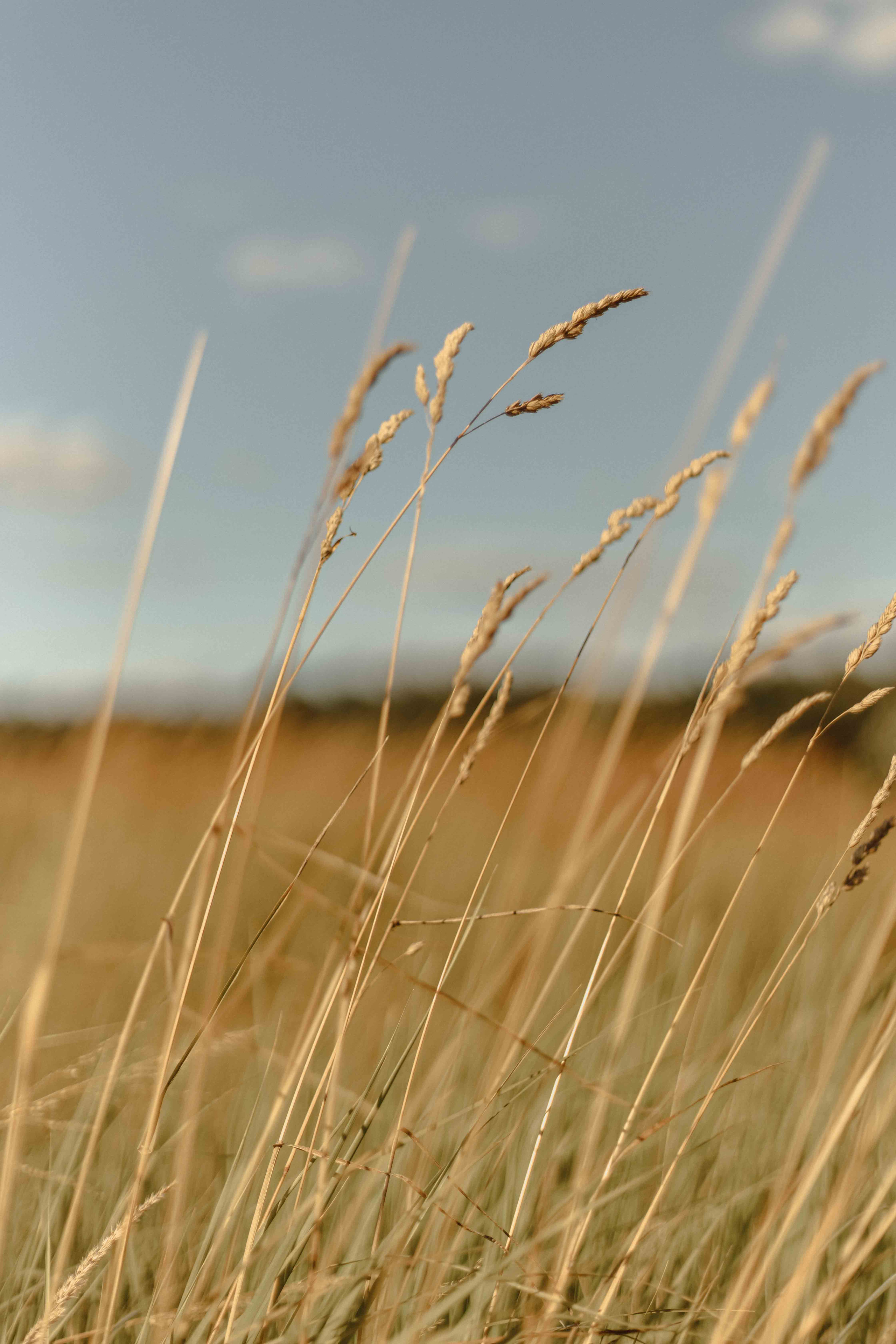 Марина и Илья. Семейный фотограф в Москве