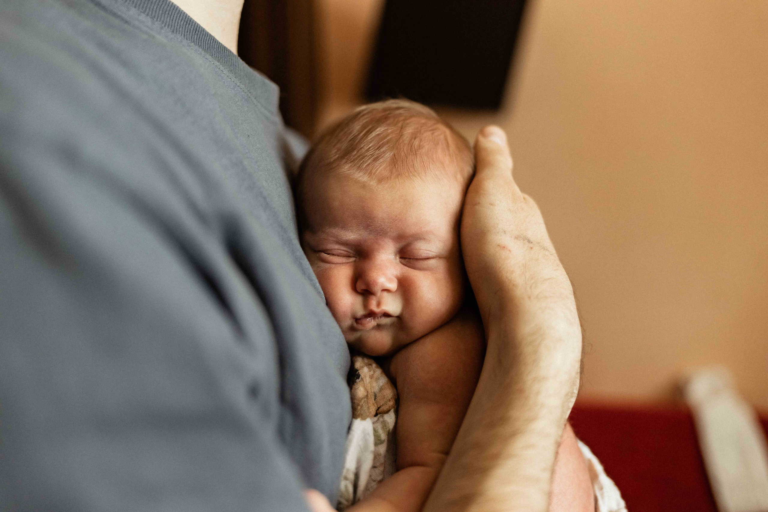 Анастасия, Сергей, Мира и Лиза. Семейный фотограф в Москве