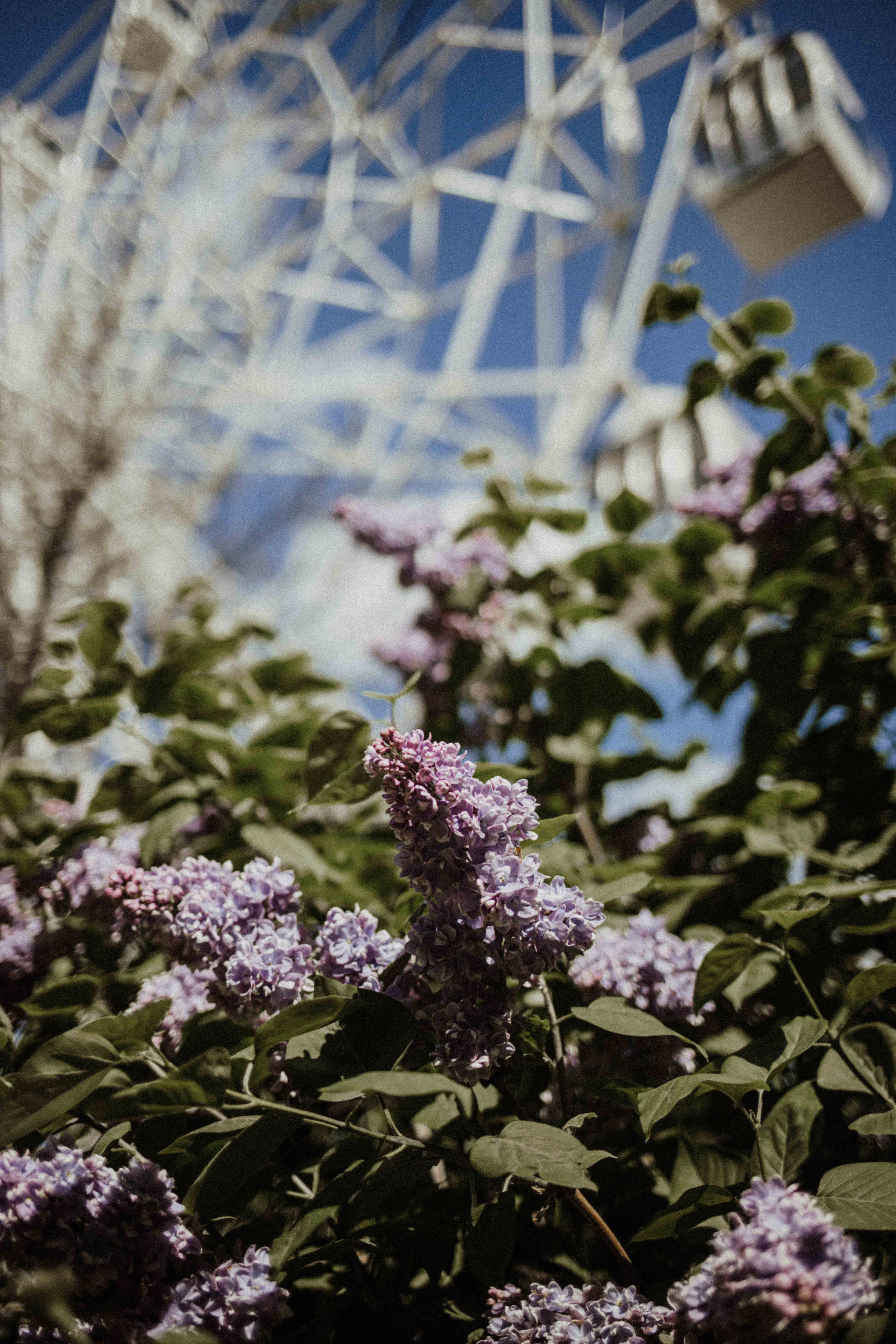 Настя и Паша. Семейный фотограф в Москве