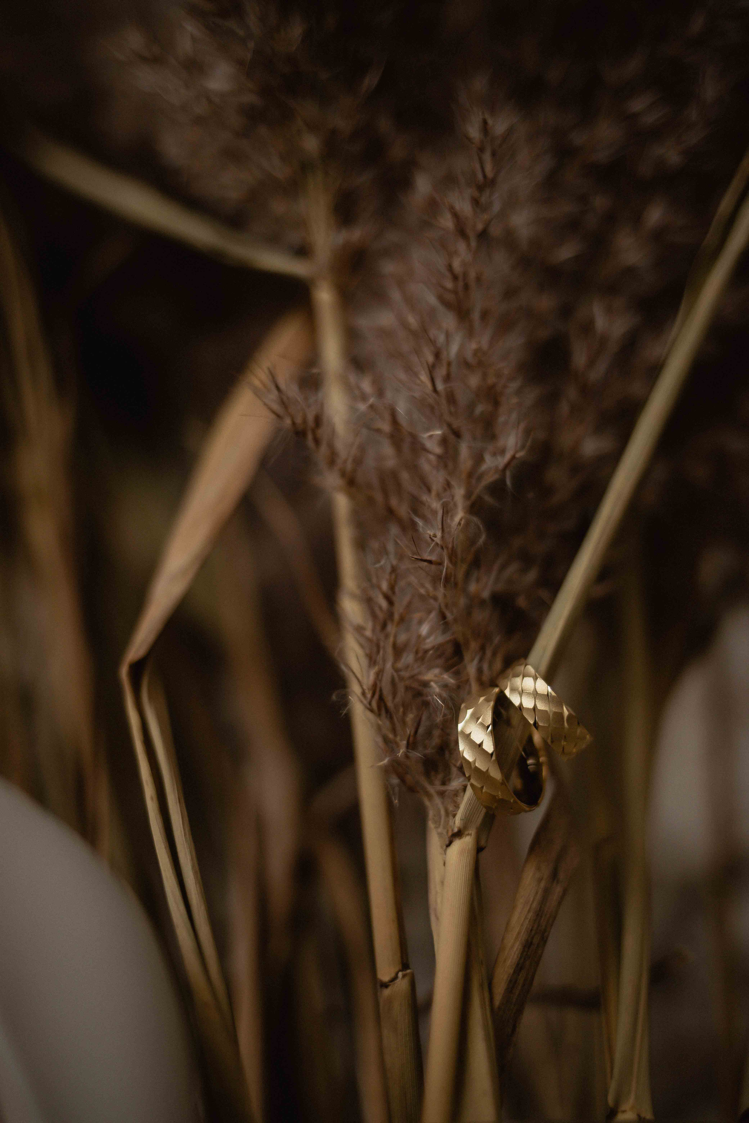 12.09.2020 Елена и Сергей. Семейный фотограф в Москве