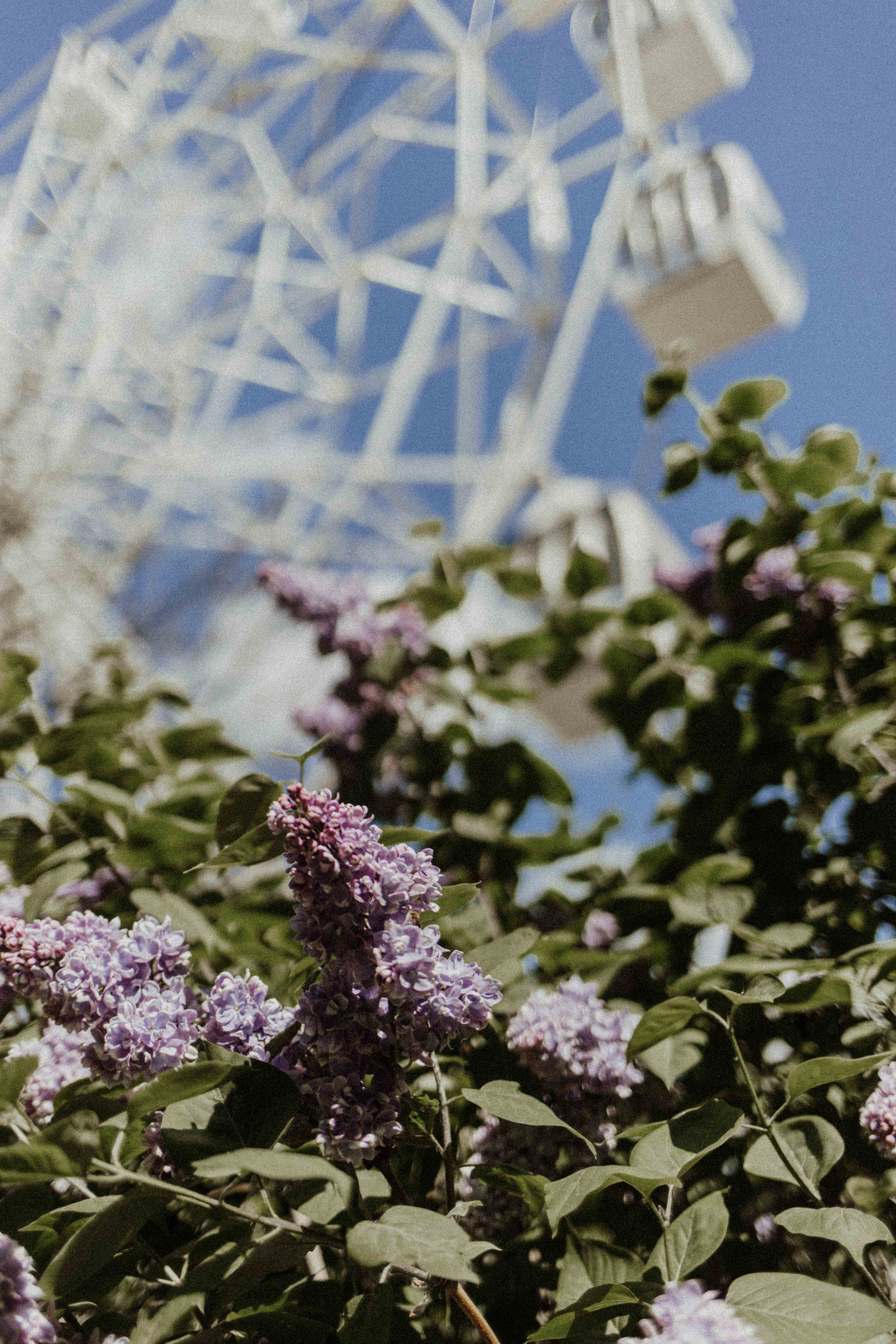 Настя и Паша. Семейный фотограф в Москве