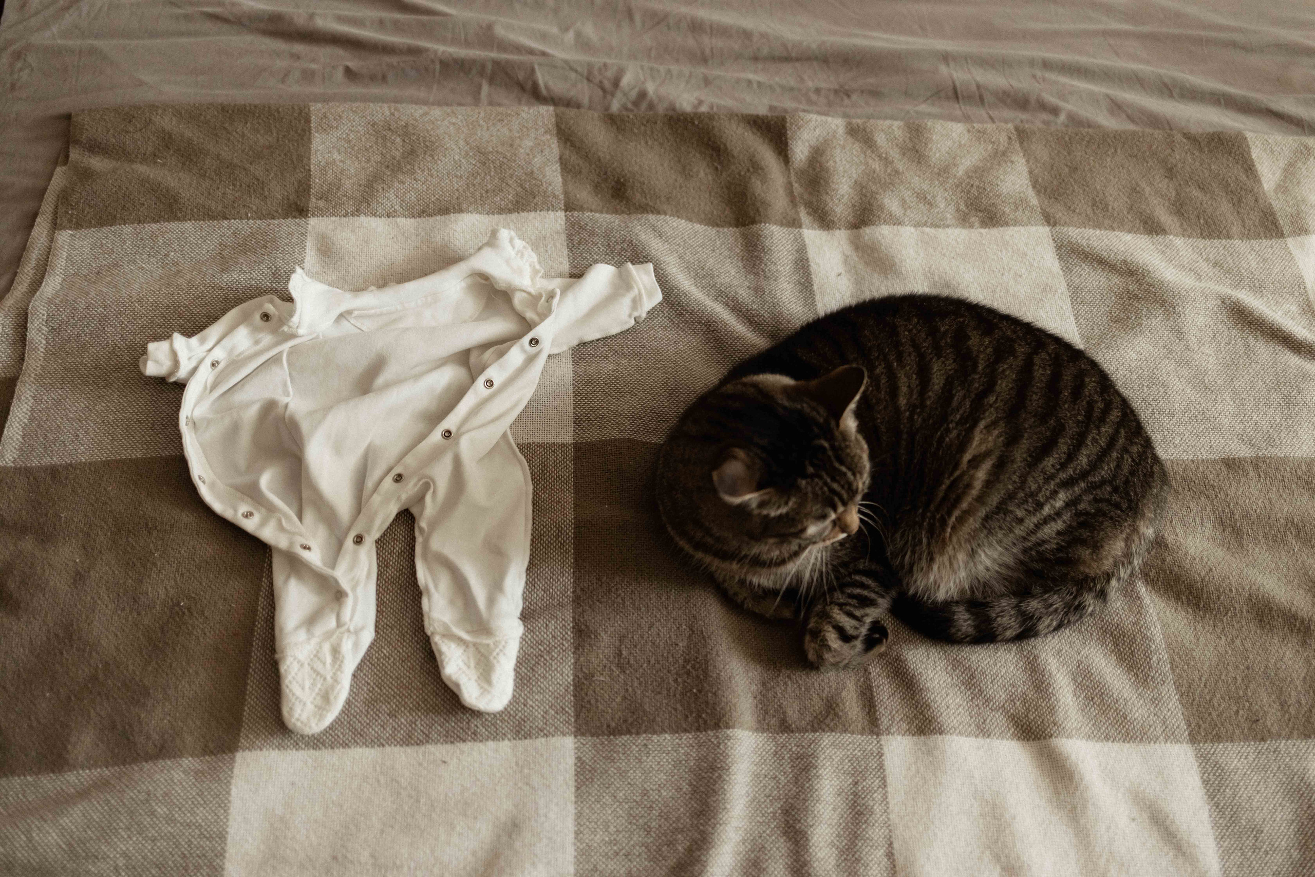 Анастасия, Сергей, Мира и Лиза. Семейный фотограф в Москве