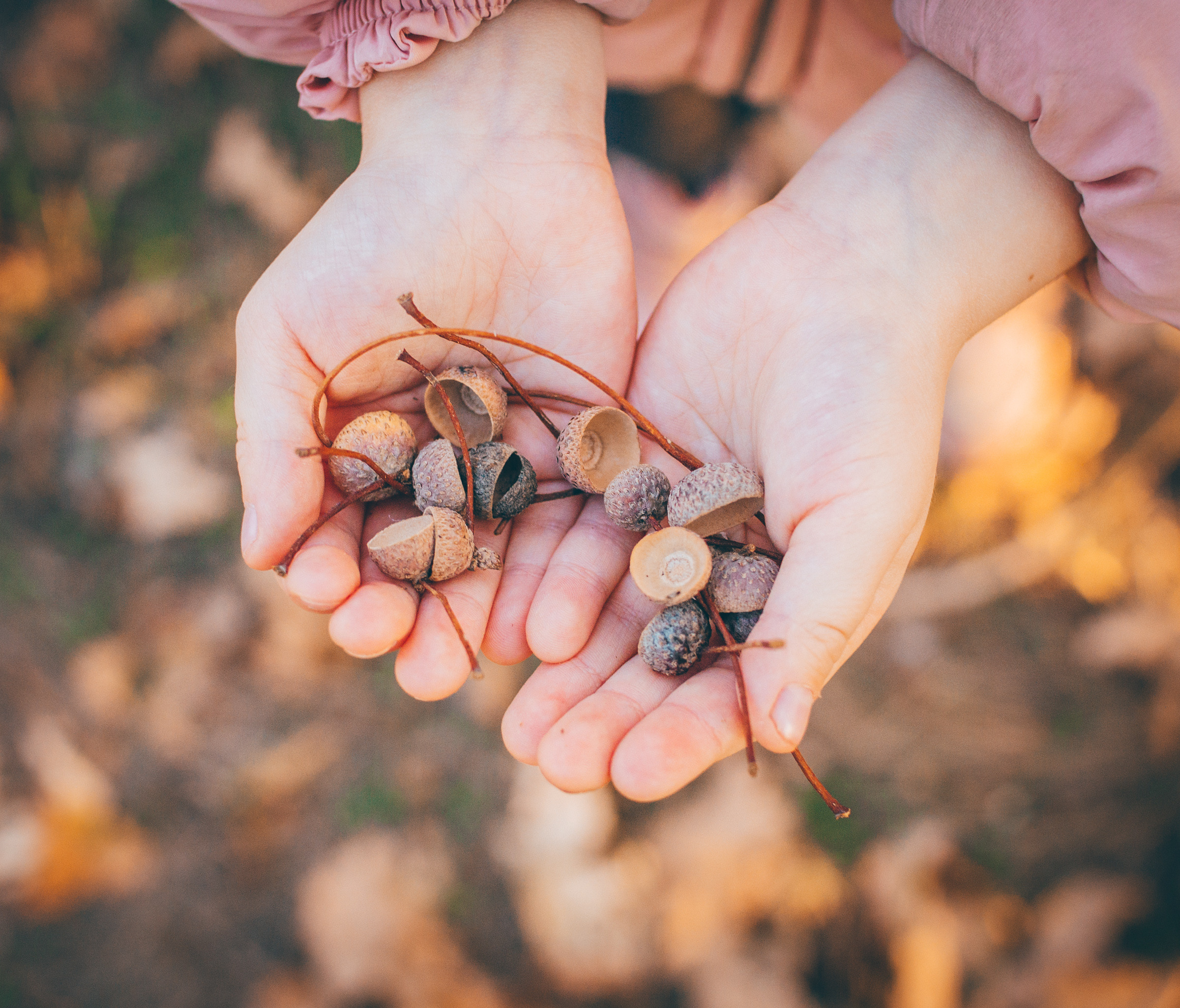 Эмилия, Аделия, Вероника, Радик и Шкода. Семейный и LifeStyle фотограф в Жигулевске и Тольятти Рустам Ханмурзин