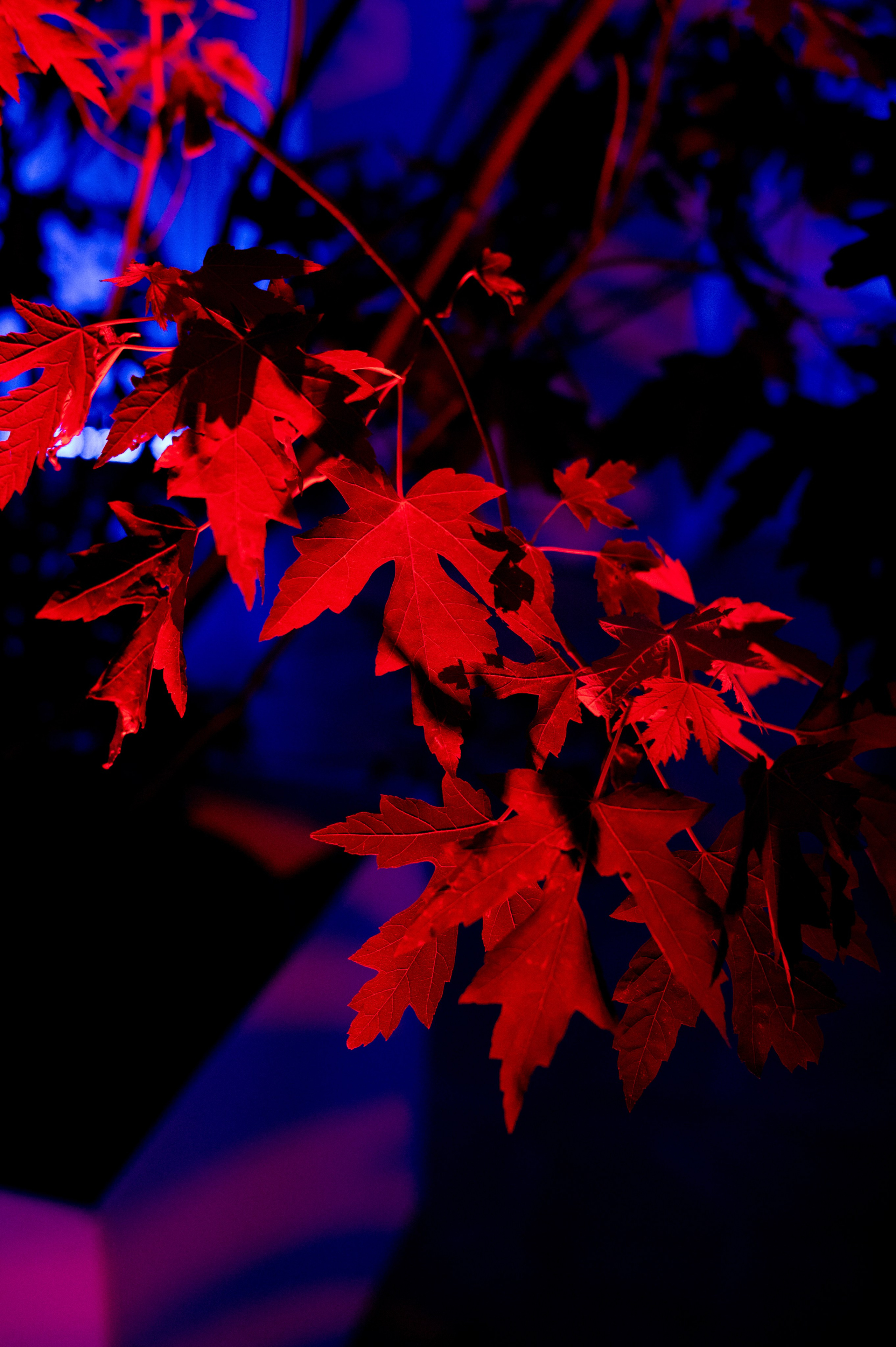 P & T. Tarasov-stroganova.ru