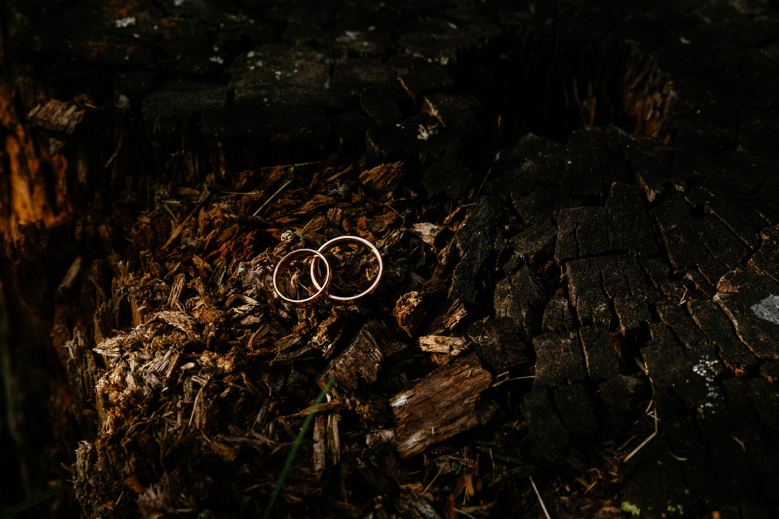 Фотограф Владимир Лукашев