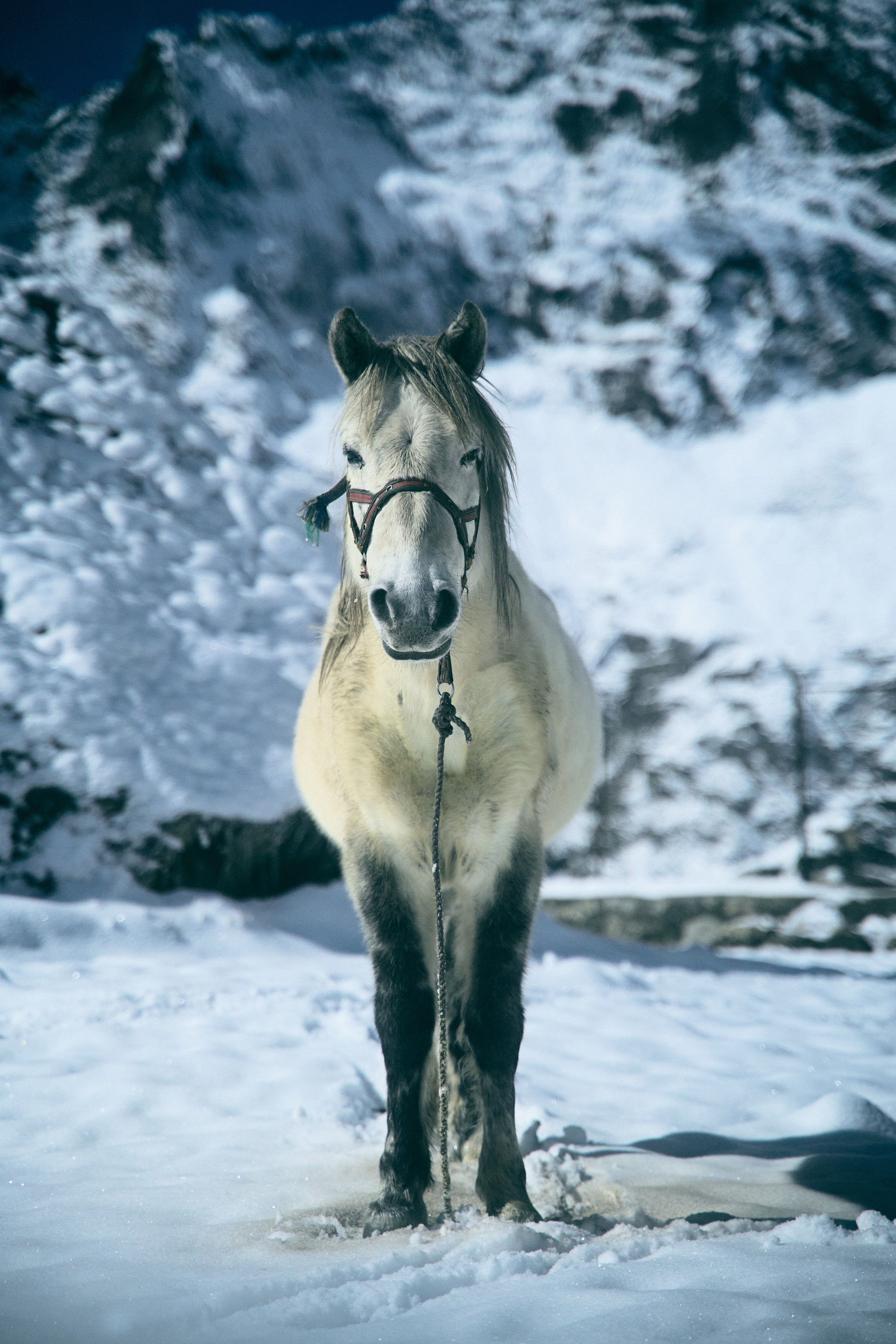 Непал. Фото