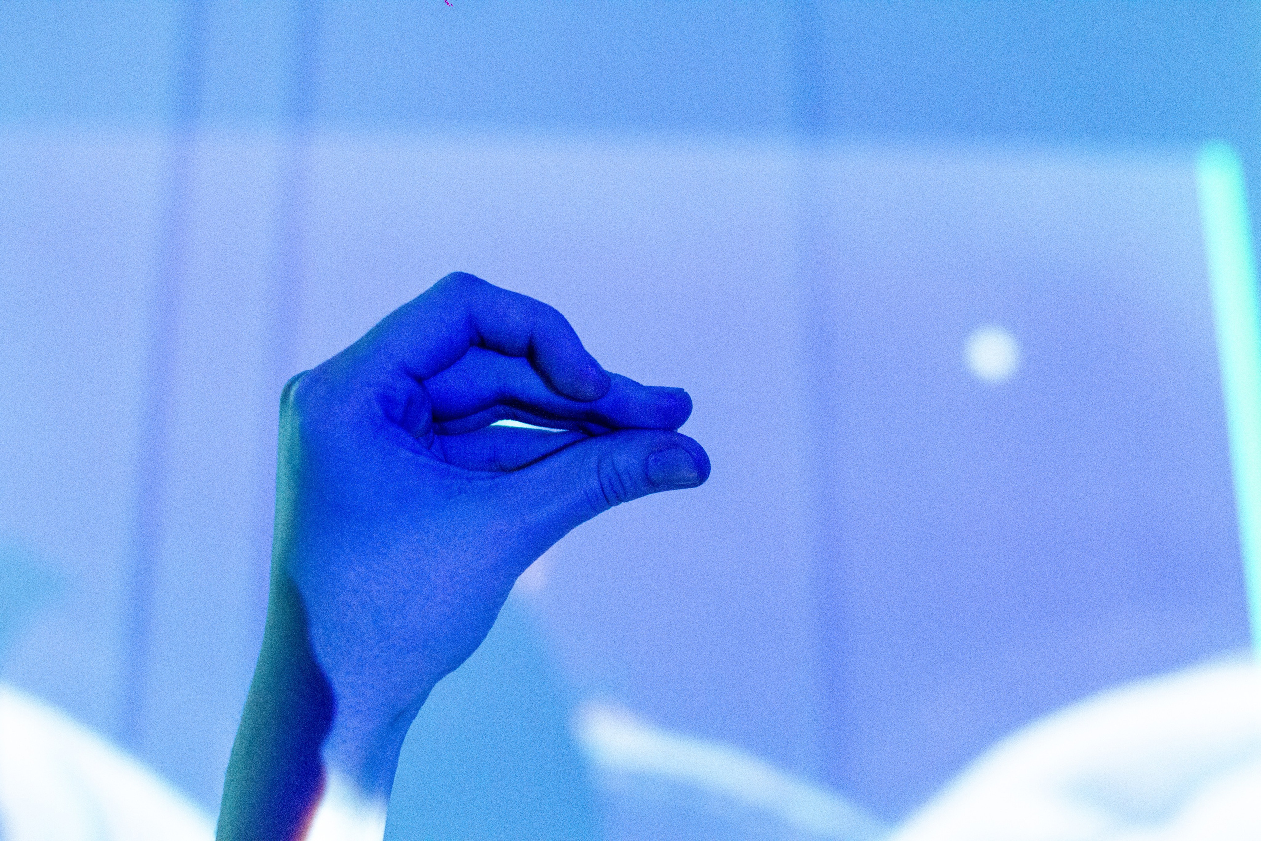 Профориентационный вечер профиля «Цифровое искусство» в Екатеринбургской академии современного искусства 2024