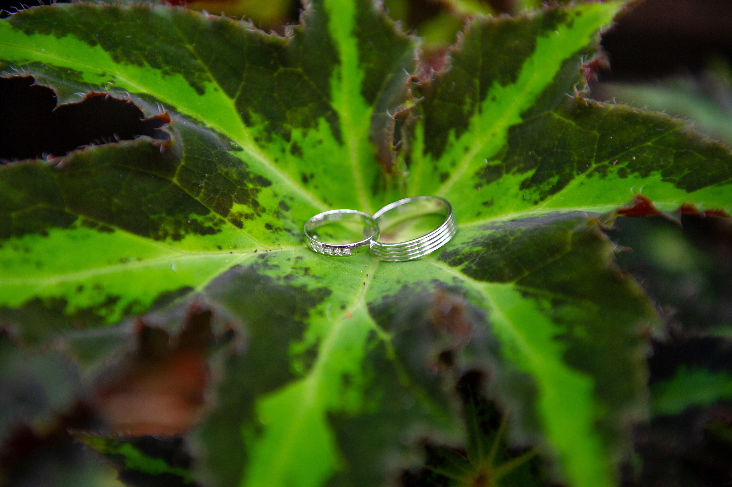 Саша и Арина. Семейный и женский фотограф, контент фотосессия в Екатеринбурге