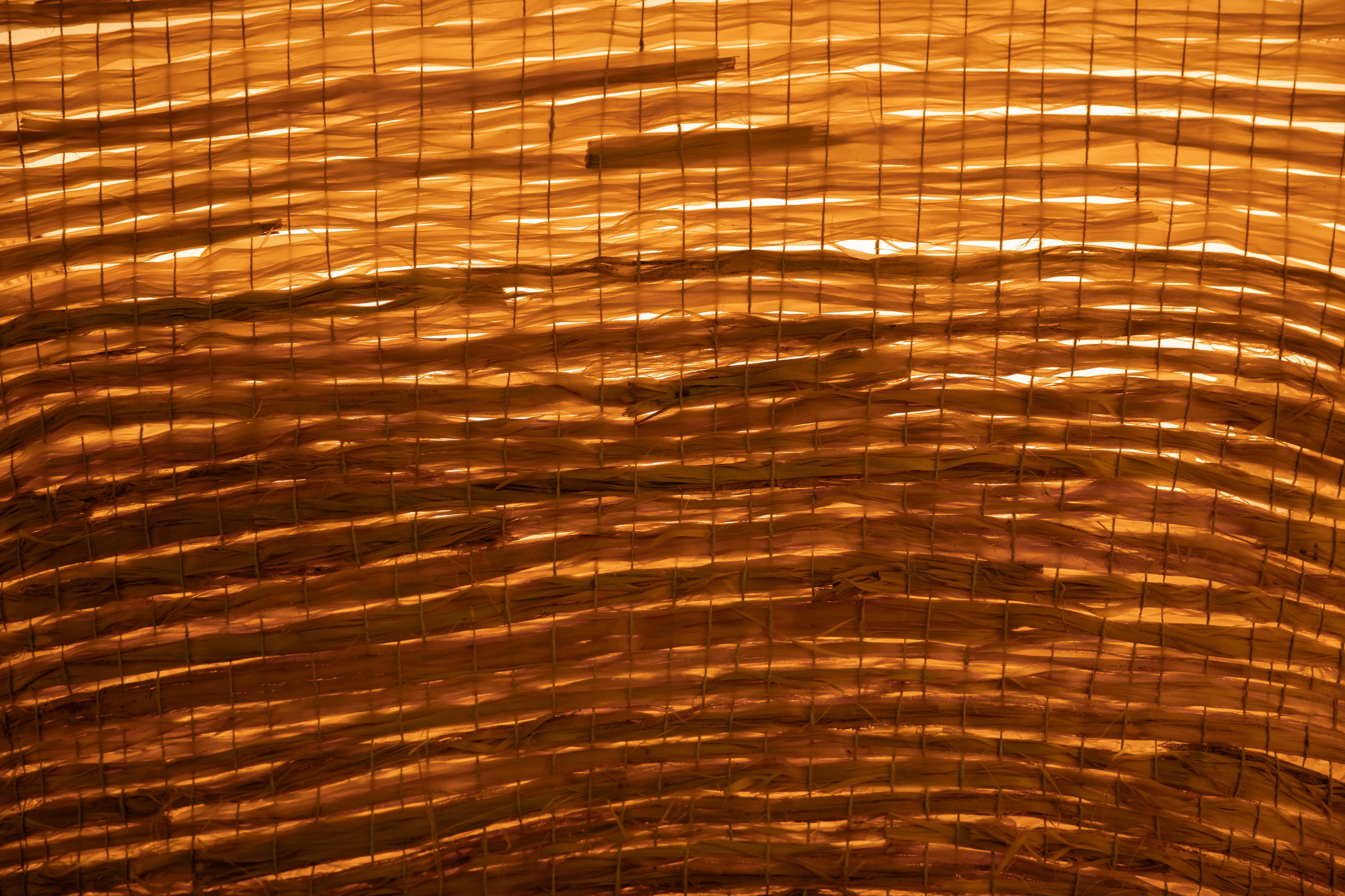 АРХ Москва. Фотограф Иван Белов