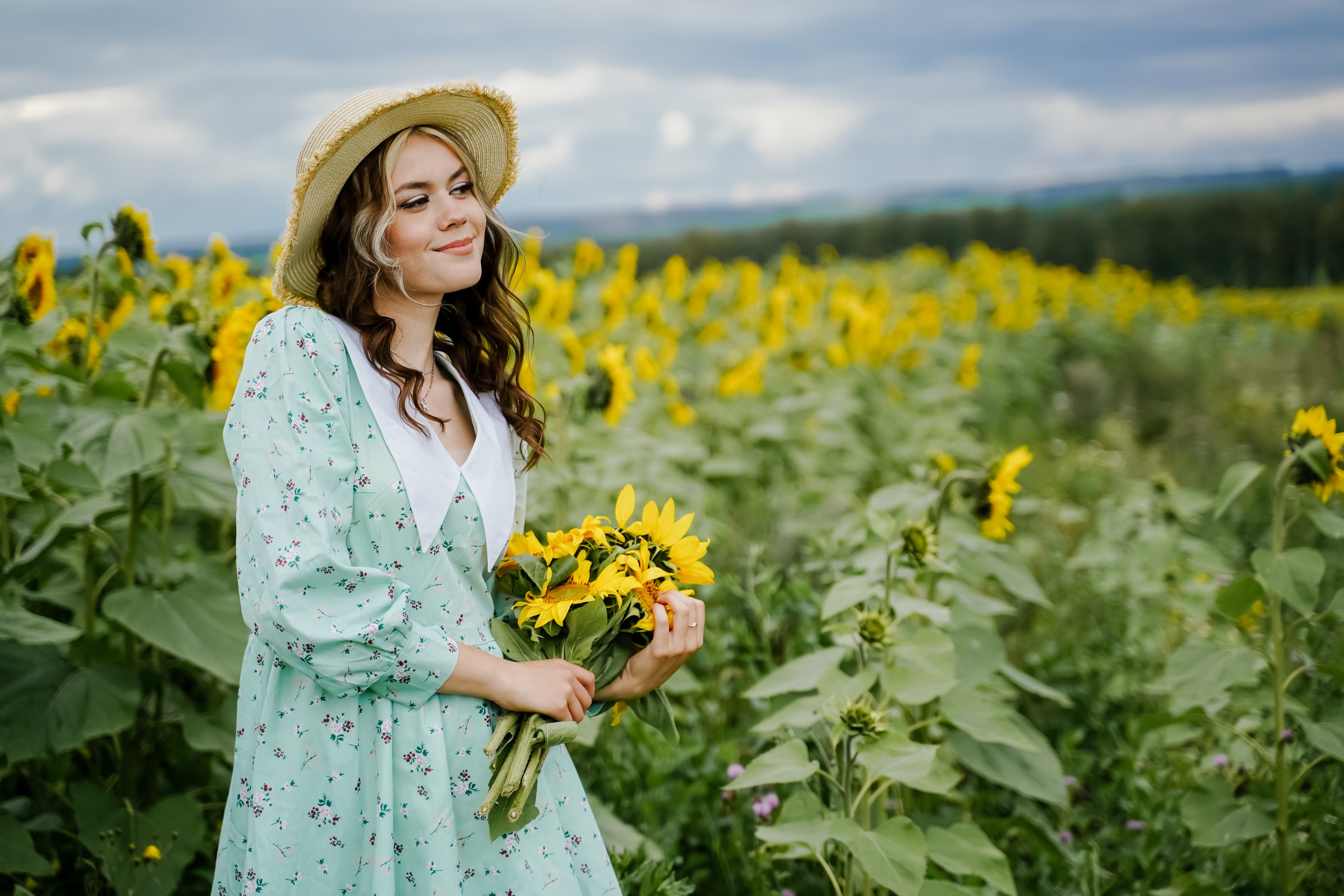 Подсолнухи. Бирск