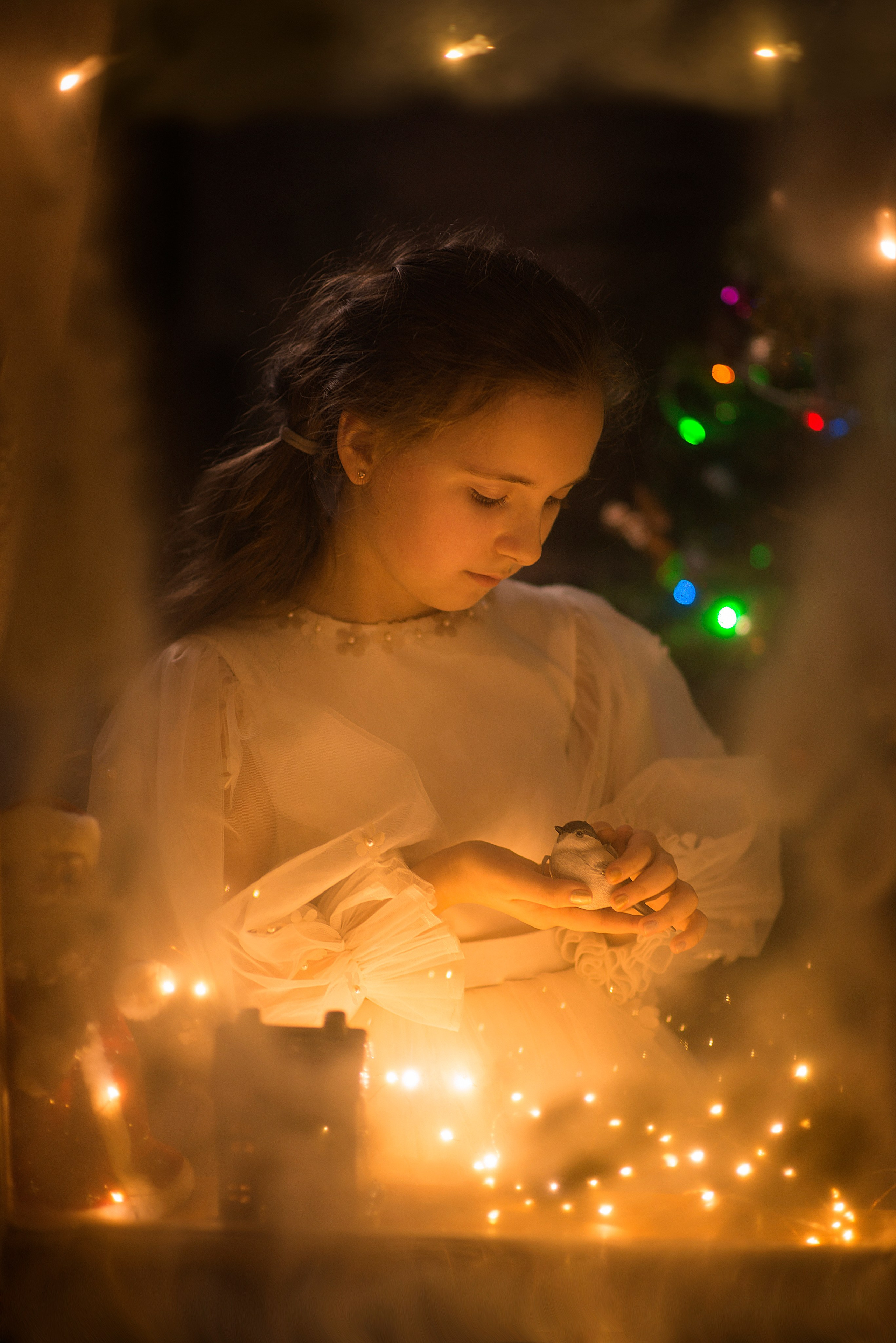 Новогодняя сказка в студии. Семейный и детский фотограф в Севастополе. Семейный фотограф в Ялте