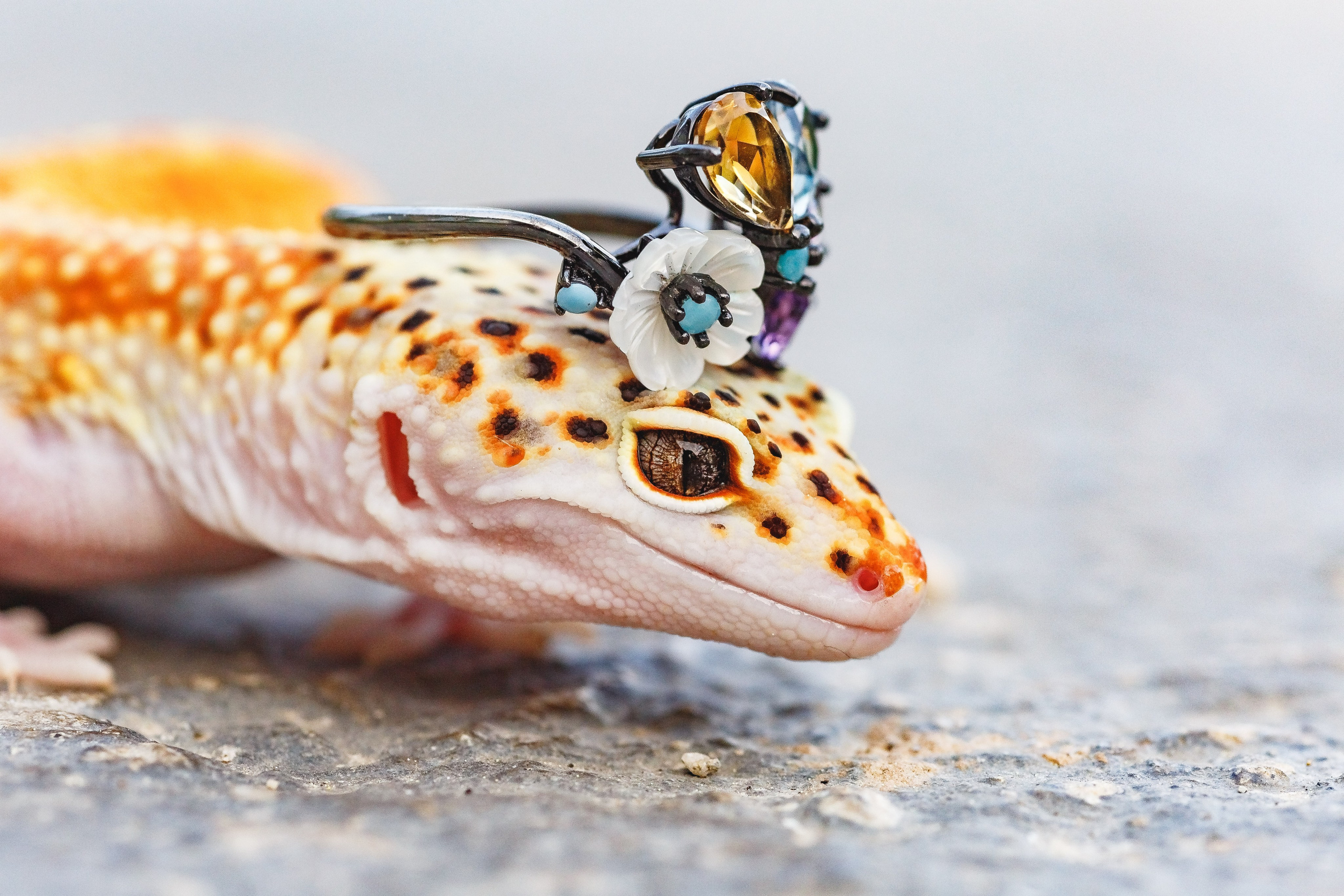 Королева драконов. Семейный фотограф в Екатеринбурге