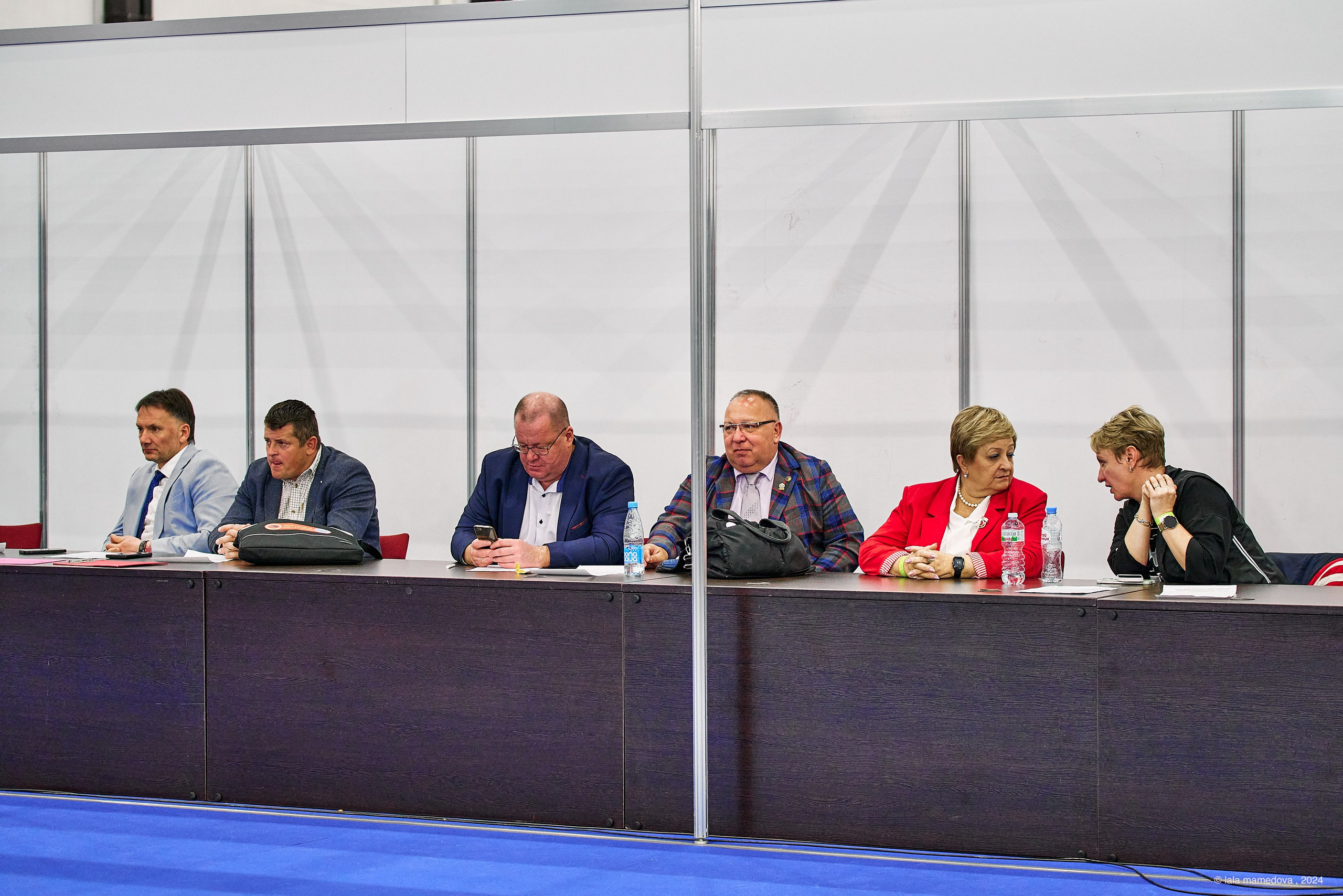 РЕЙТИНГОВАЯ ВЫСТАВКА СОБАК ВСЕХ ПОРОД С ОСОБЫМ СТАТУСОМ"НЕВСКИЙ ПОБЕДИТЕЛЬ-2024-1"