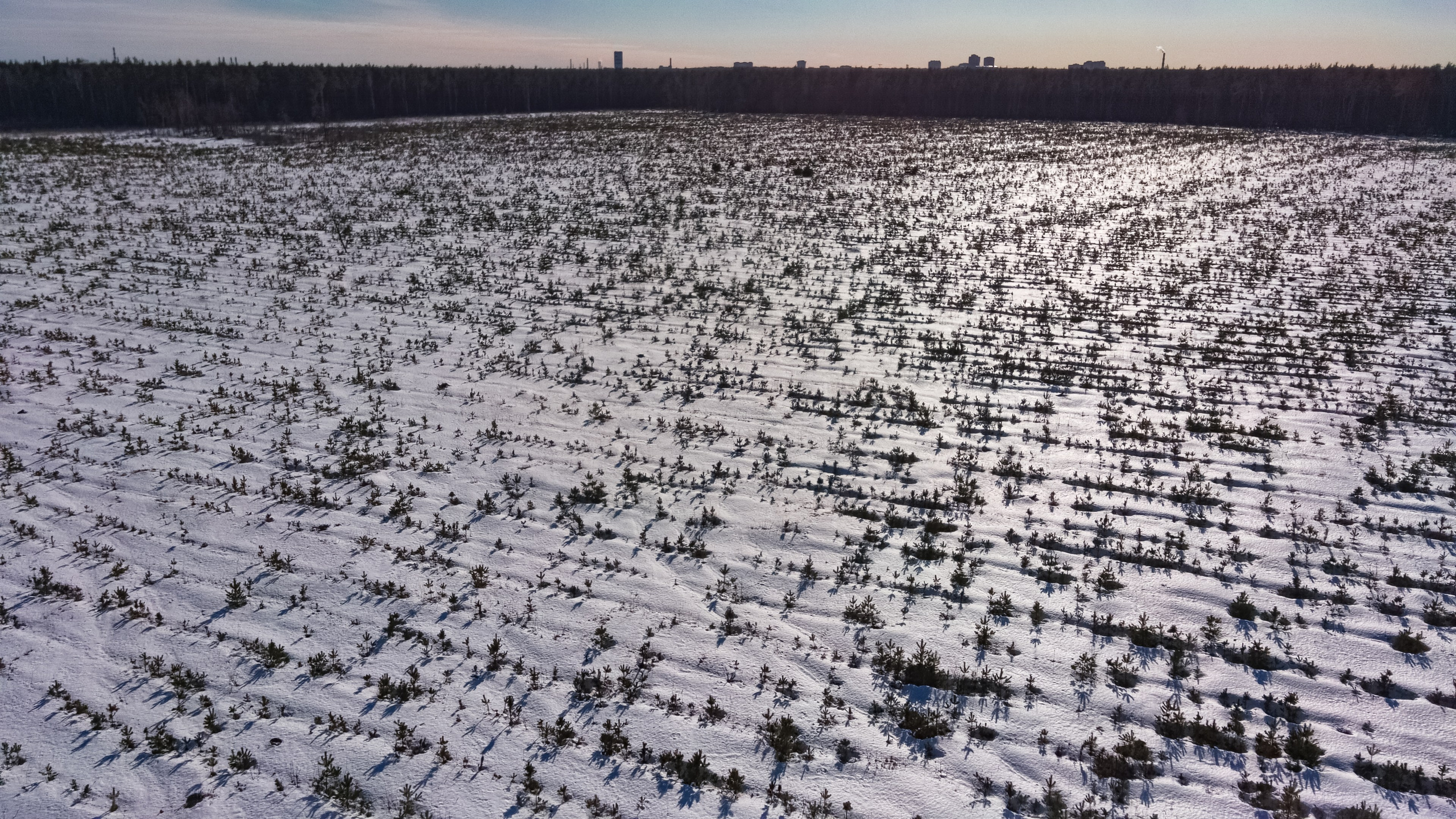 Я здесь живу. DASHA KALNINA