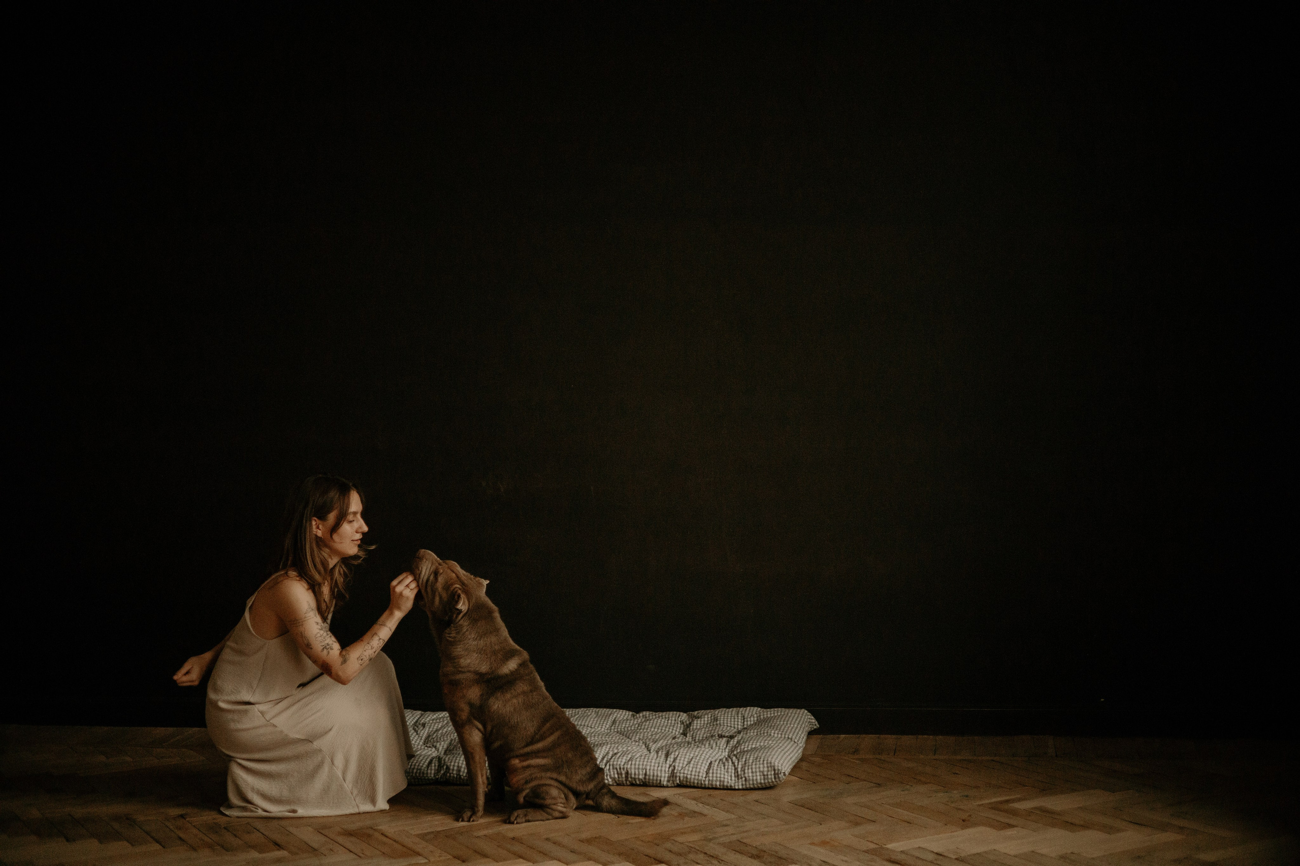 Ульяна & Вагнер. Фотограф — анималист •love-story•|Санкт-Петербург