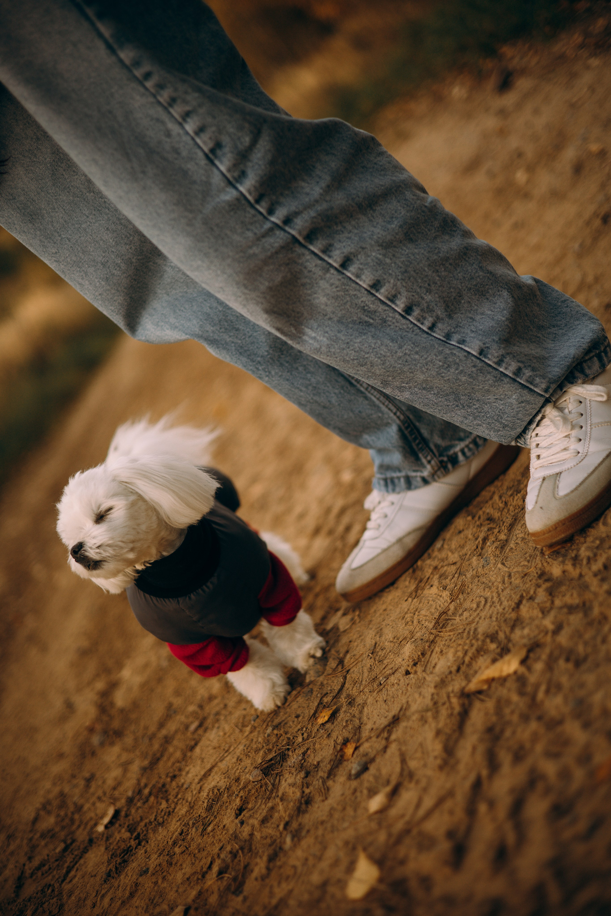 Любовь & Белла. Фотограф — анималист •love-story•|Санкт-Петербург