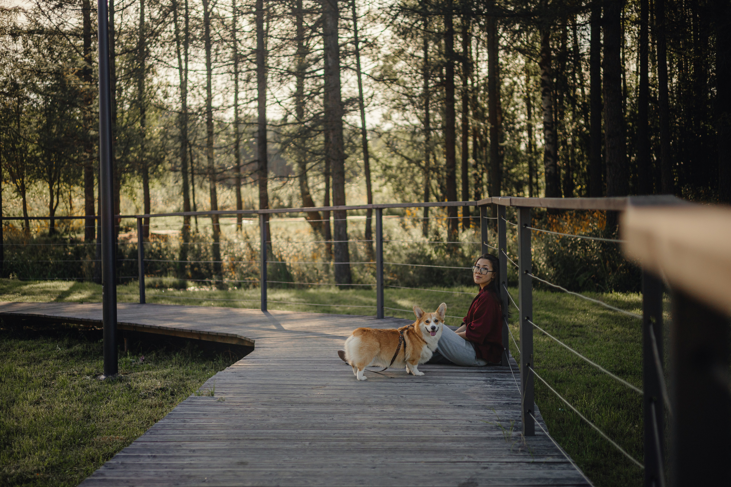 Йосик и его Мари. Фотограф — анималист •love-story•|Санкт-Петербург