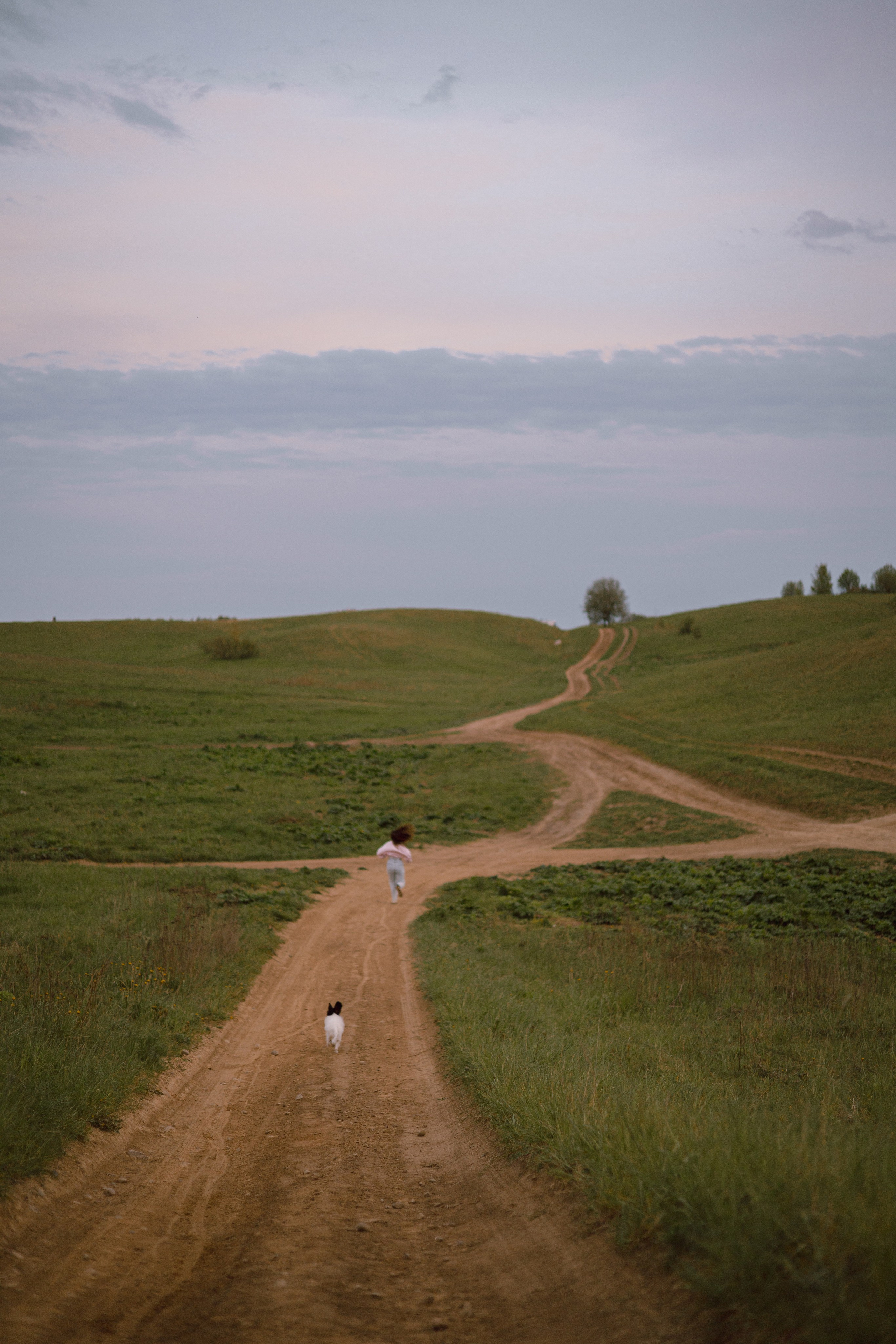 уличные фотографы спб