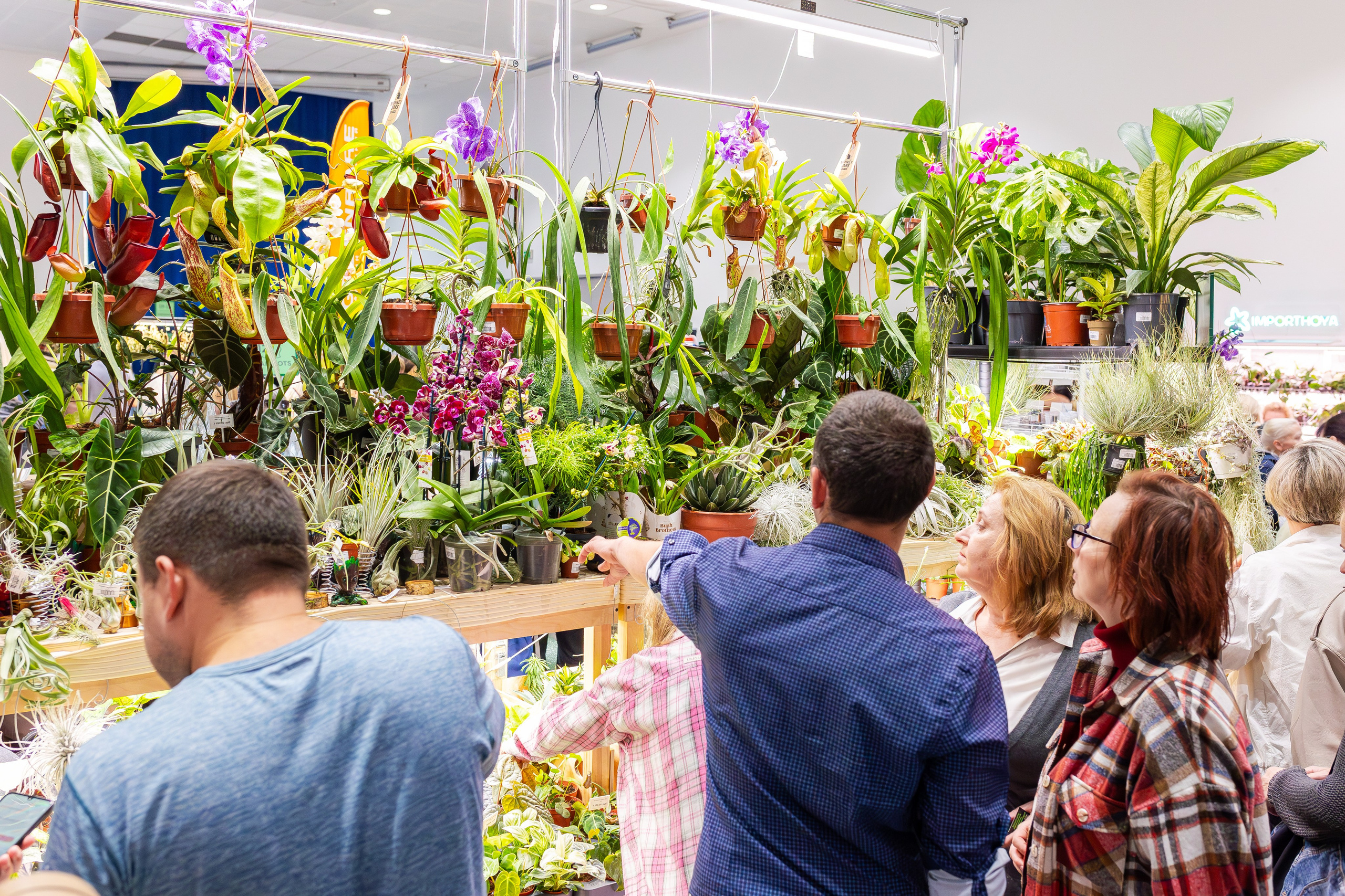 Орхидиум сентябрь 2025. Александра Куликова фотограф, Москва