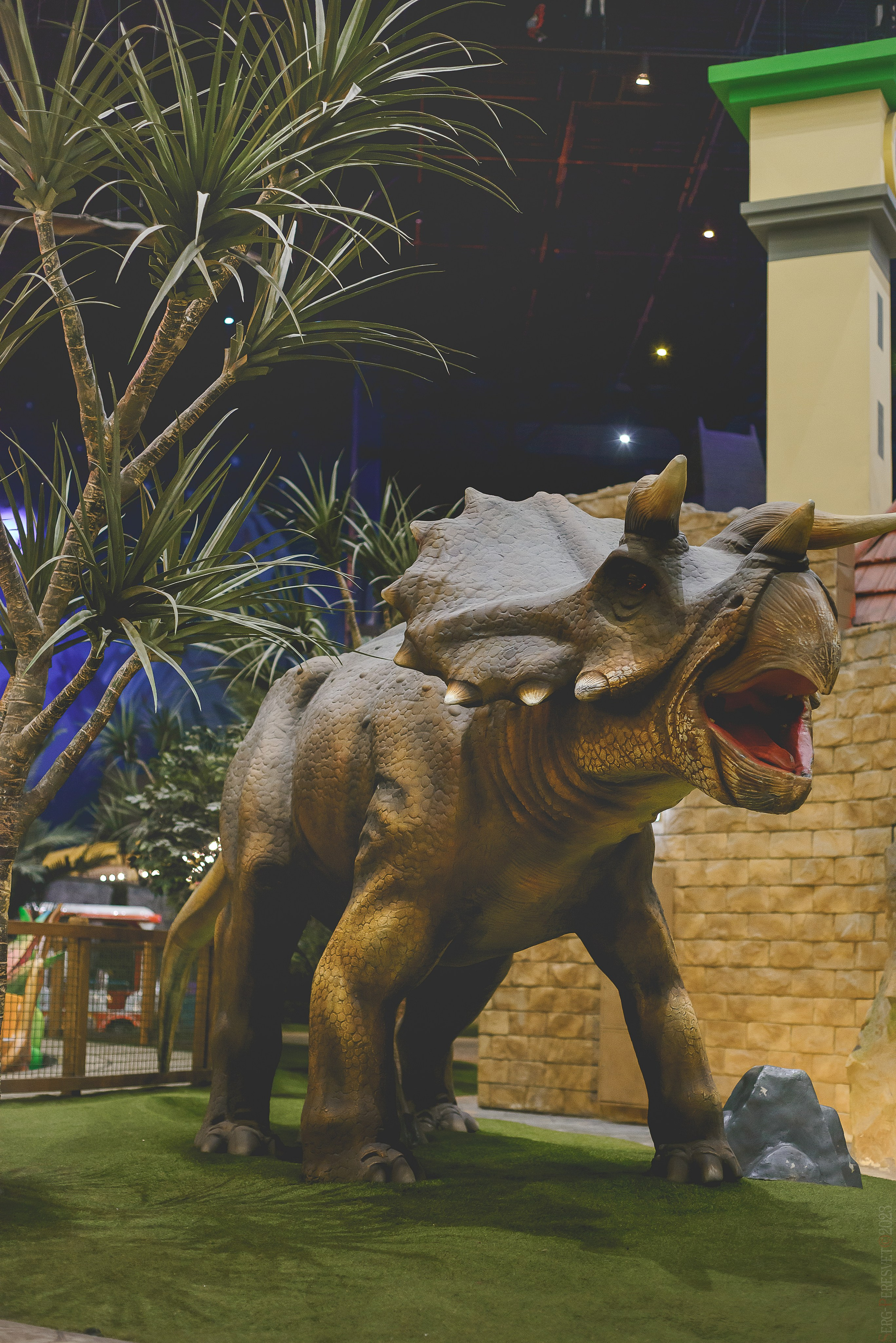 «Остров мечты» парк развлечений, Детский день рождения, Москва. Ваш фотограф на праздник в Москве, Раменском, Жуковском, Люберцах