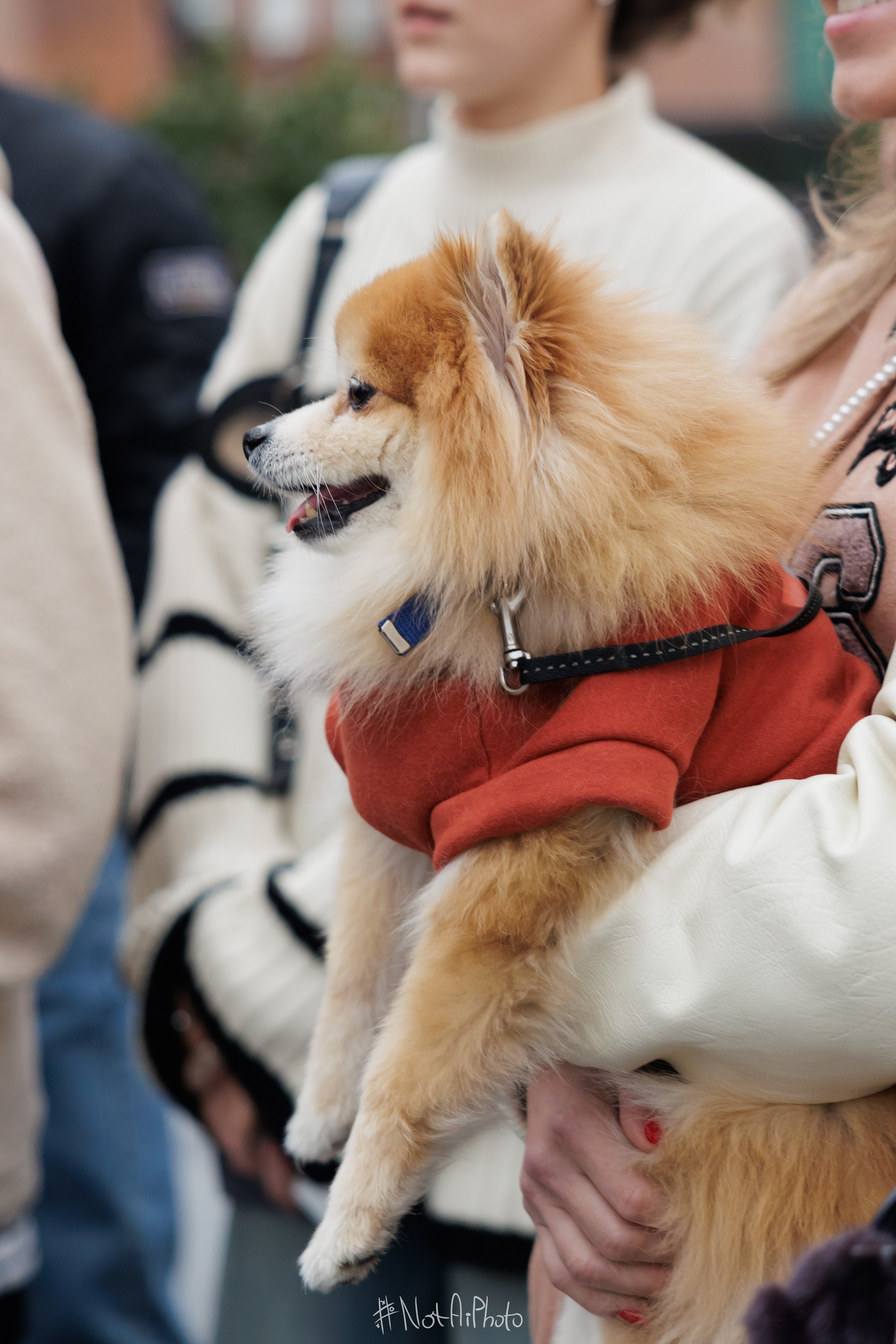 Репортажная съемка ReForm 2025. #NotAiPhoto — автомобильный фотограф