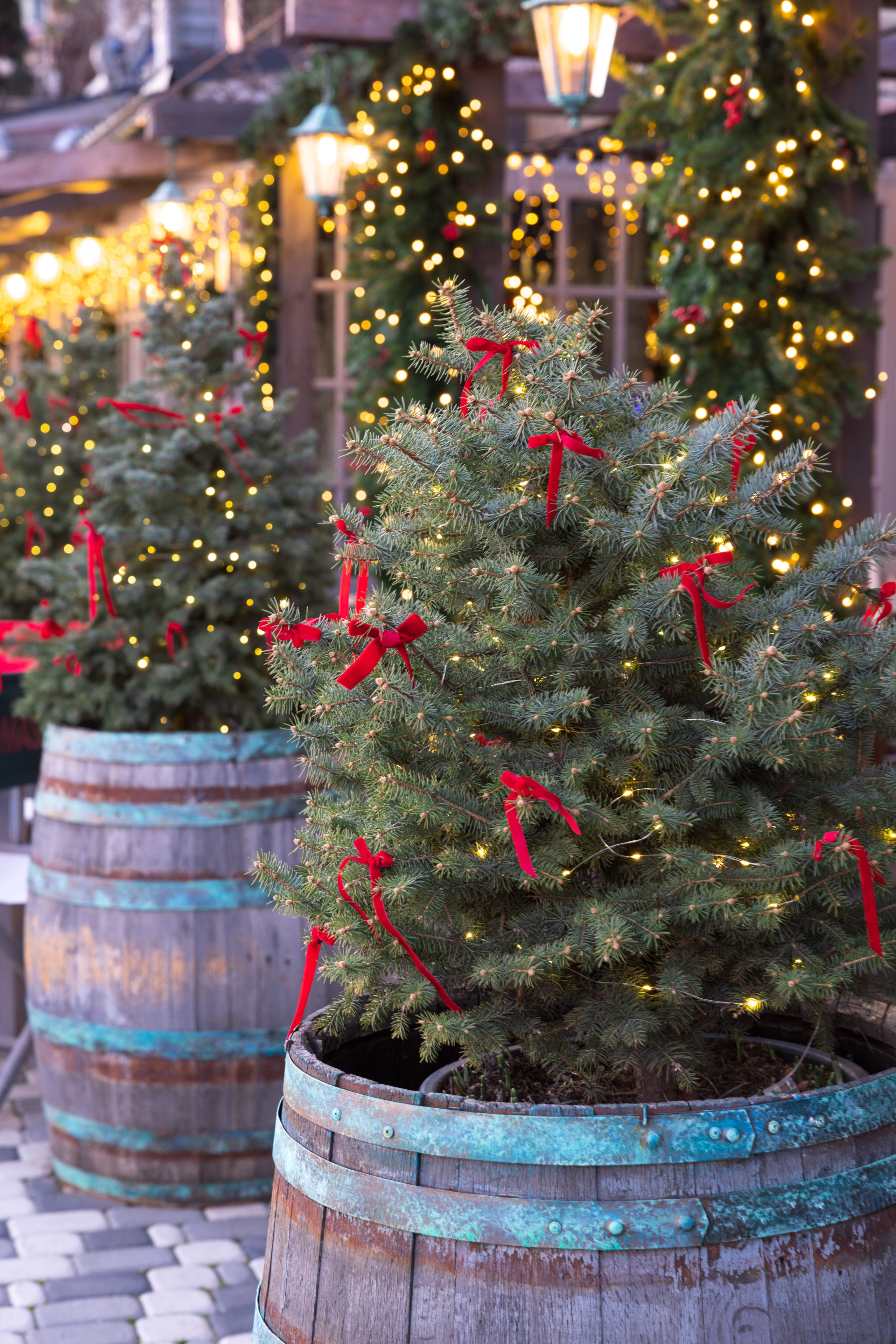 Праздничные украшения. Сайт фотографа Андрея Басова