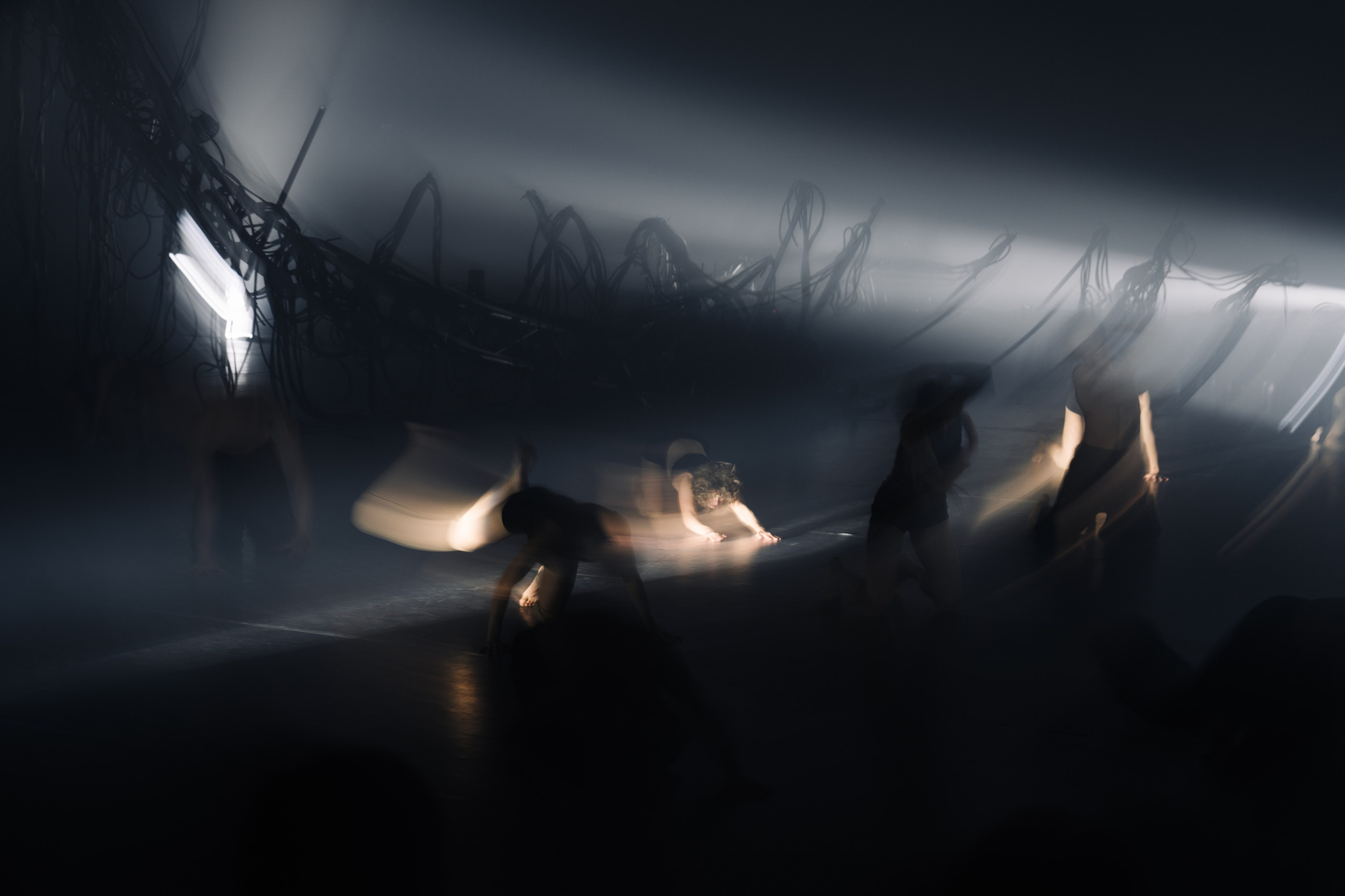 PERFORMA, The Hour of the Horse. @tomrus: Рустам Шагиморданов — фотограф