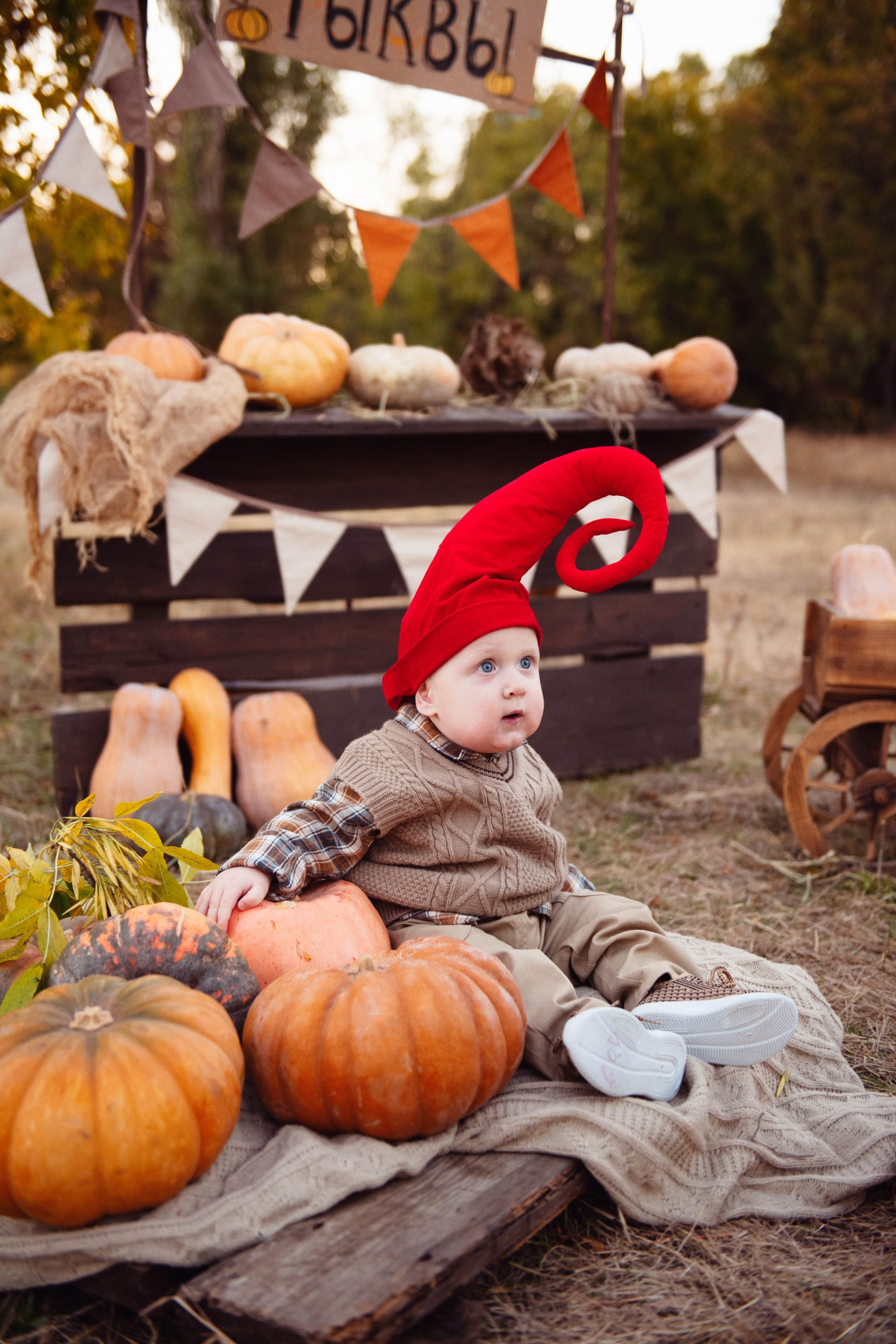 Тыковки. Детский и семейный фотограф в Армавире Даша Зубкова