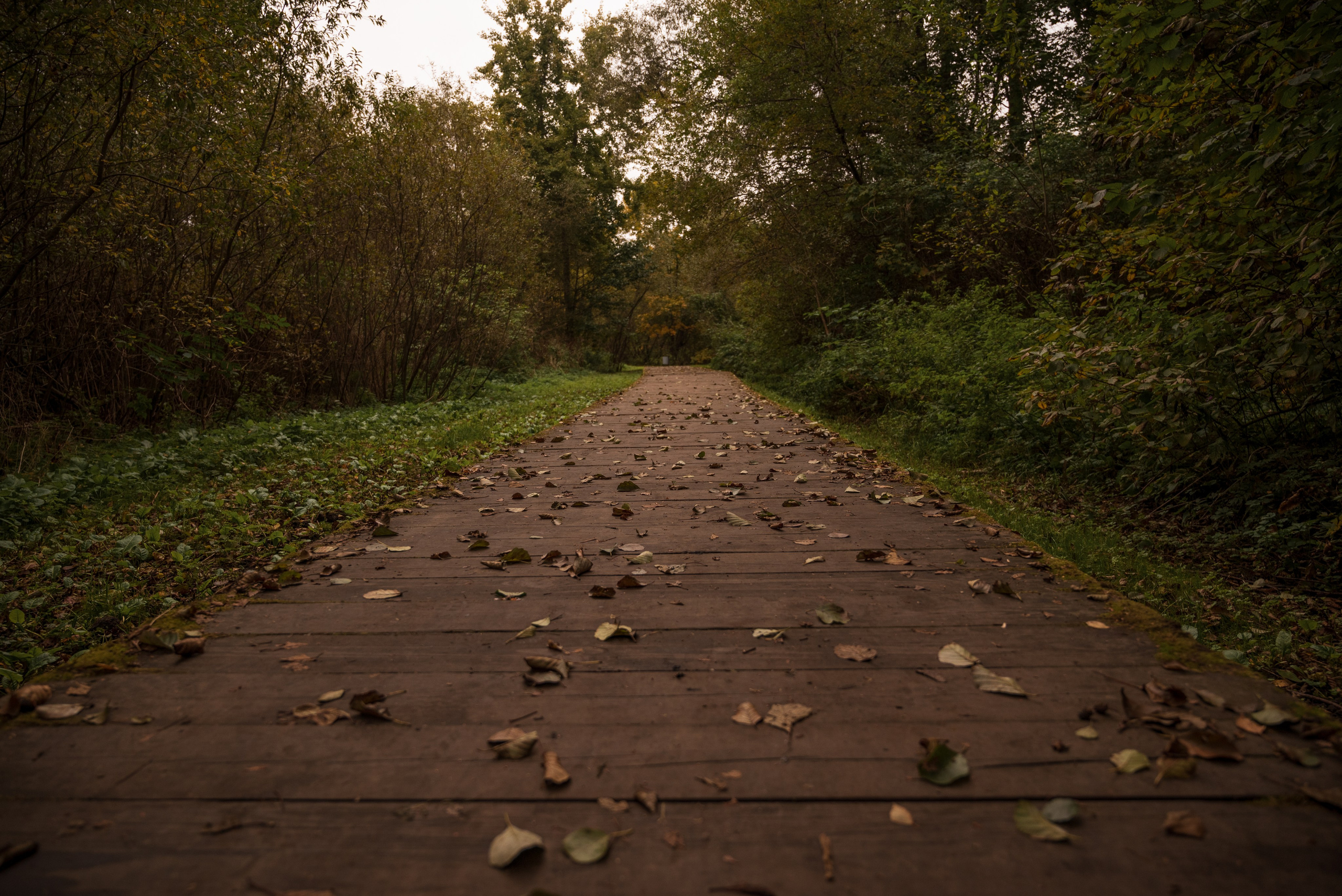 Места. Фотограф в Минске Дарья Кончакова