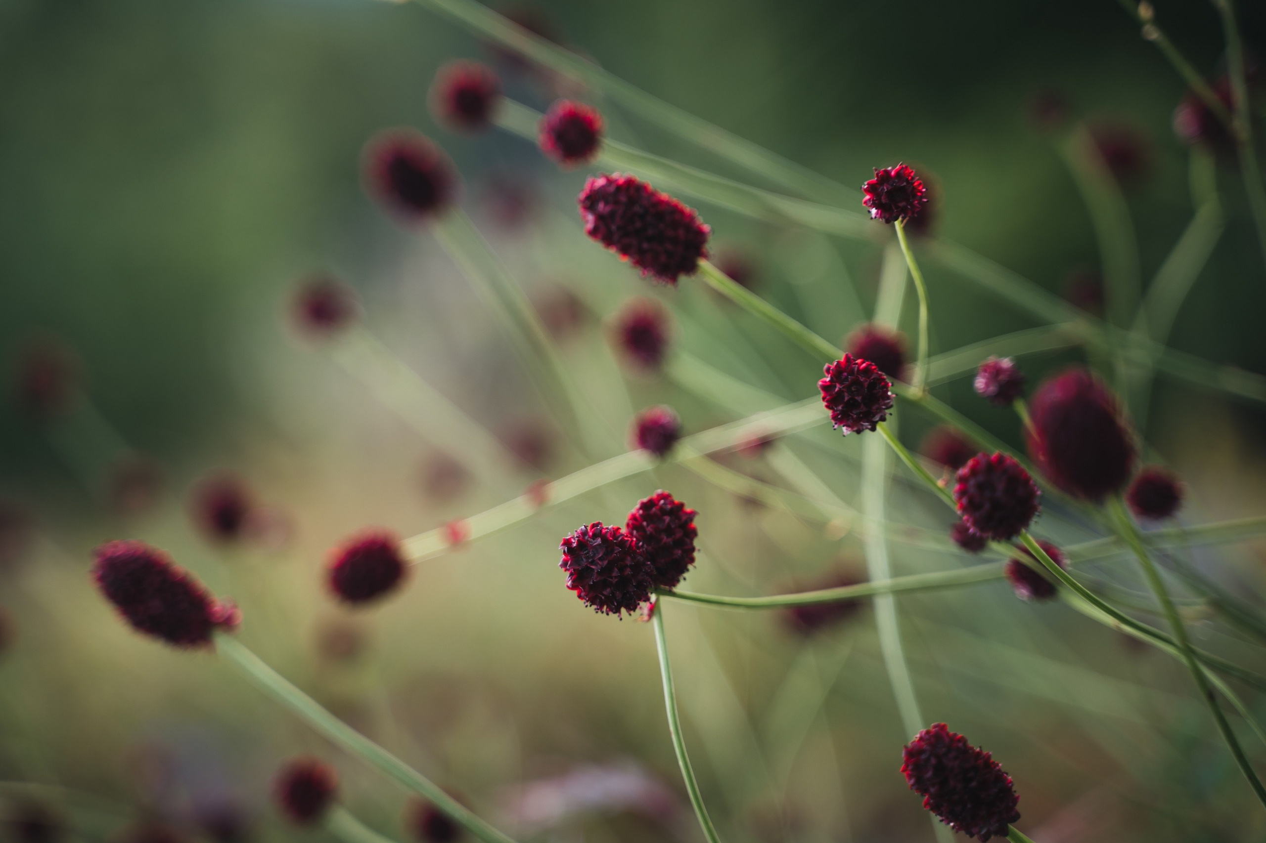 Байкал. ББТ, Ольхон и Аршан. Фотограф в поход и восхождение на Эльбрус Игорь Косарев