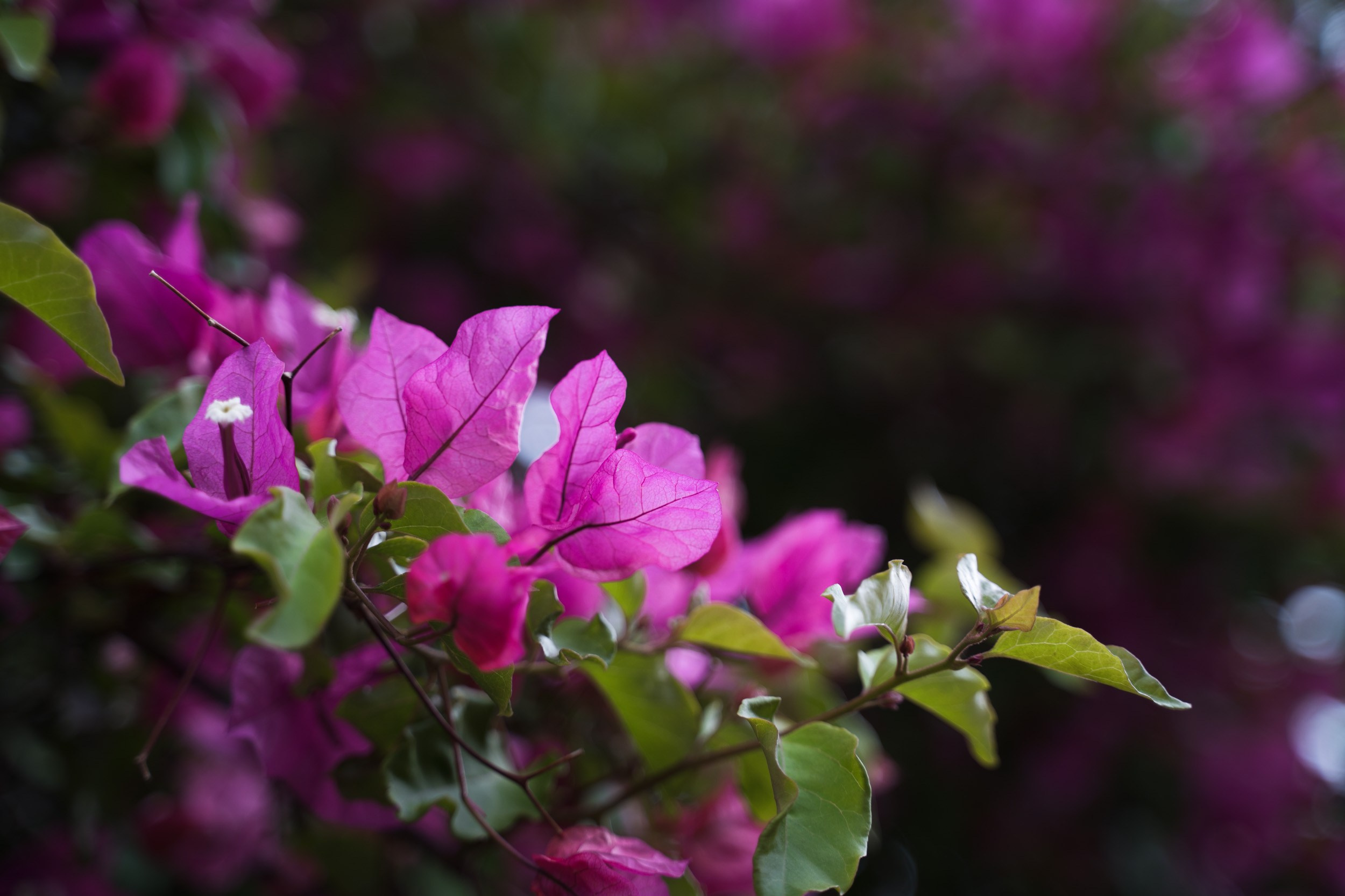 Турция. Западная Ликийская тропа. Фотограф в поход и восхождение на Эльбрус Игорь Косарев