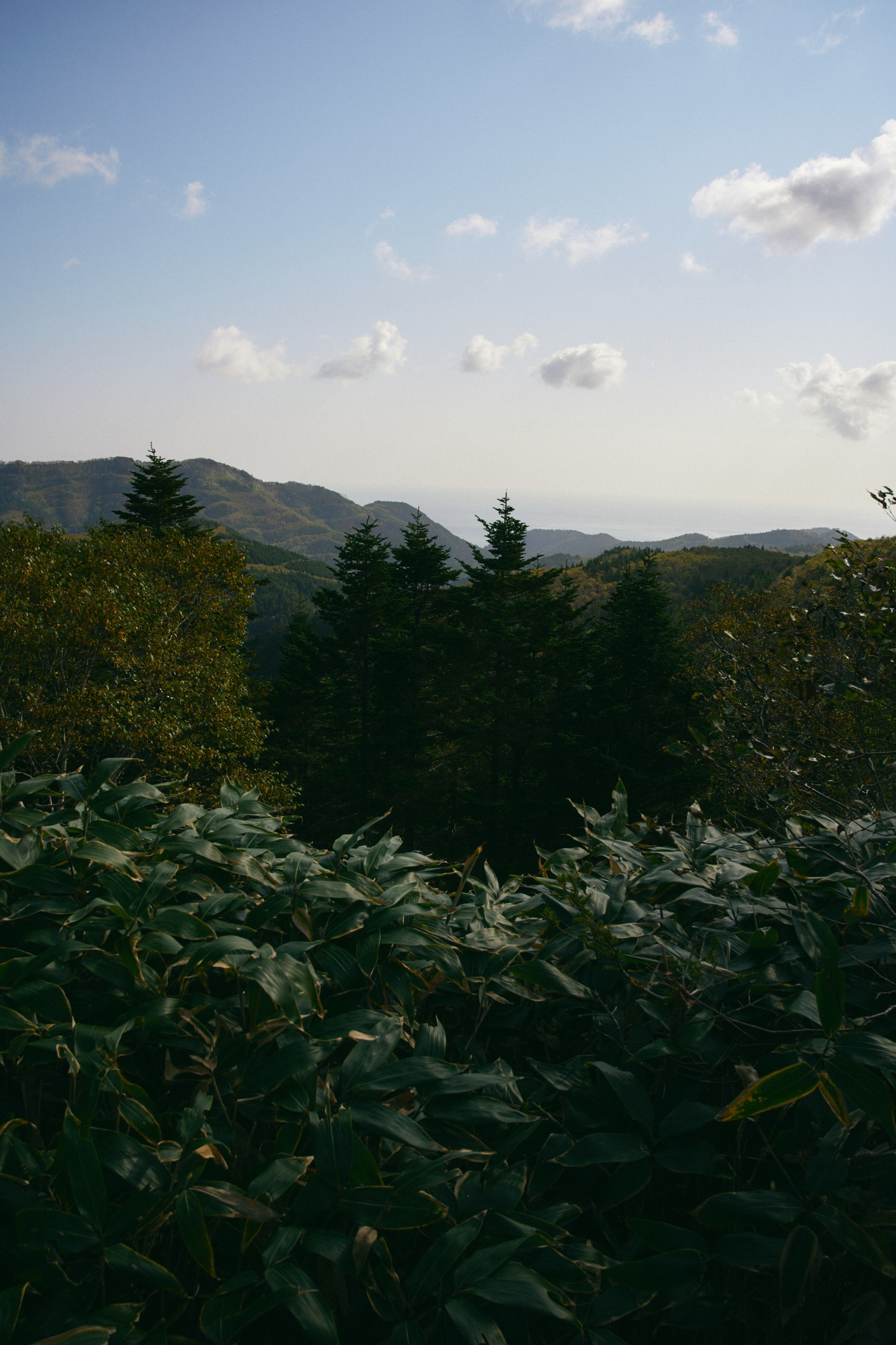 BAON x SAKHALIN. Фотограф Сурков Никита