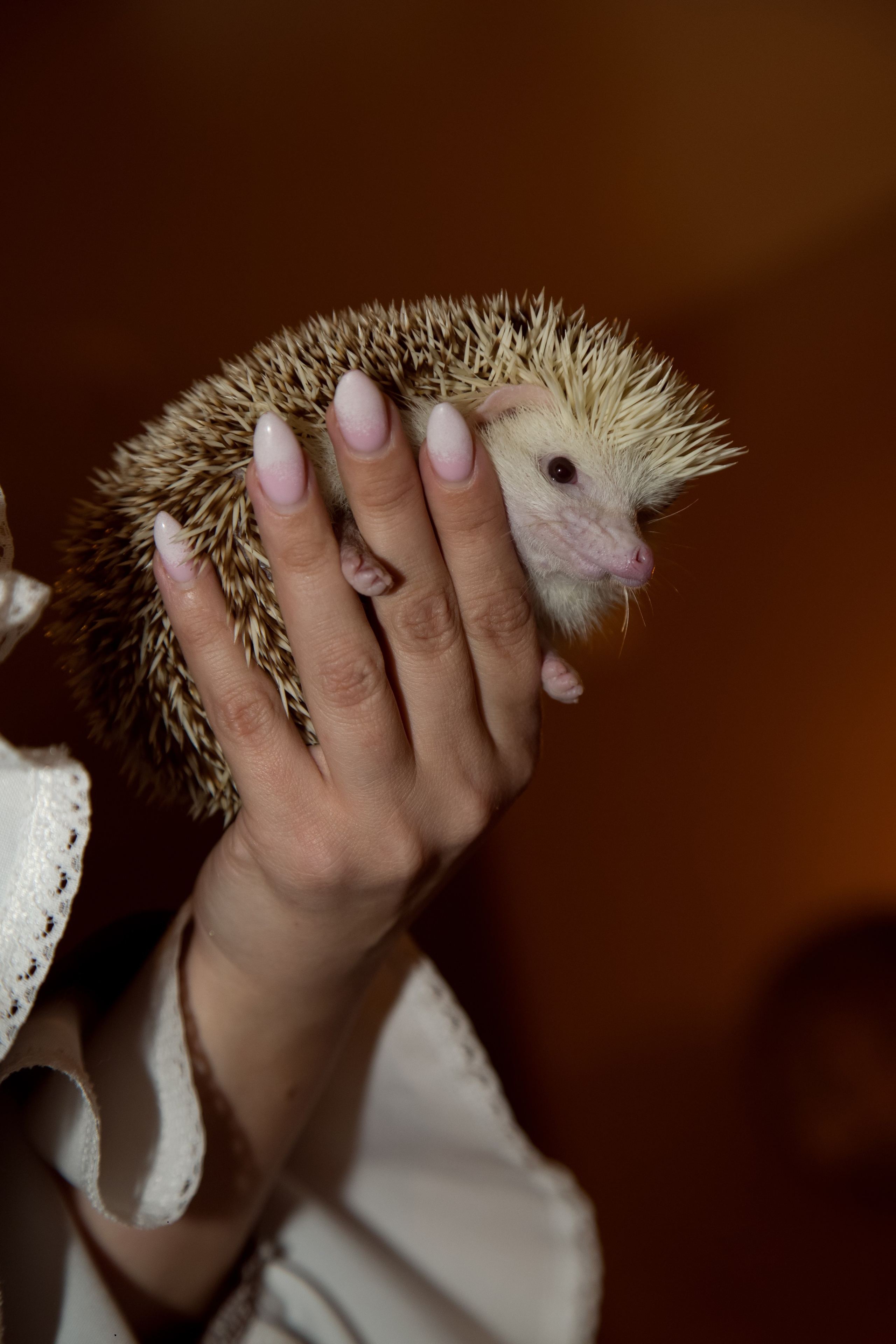 День рождения Маши. Фотограф Юлия Усольцева