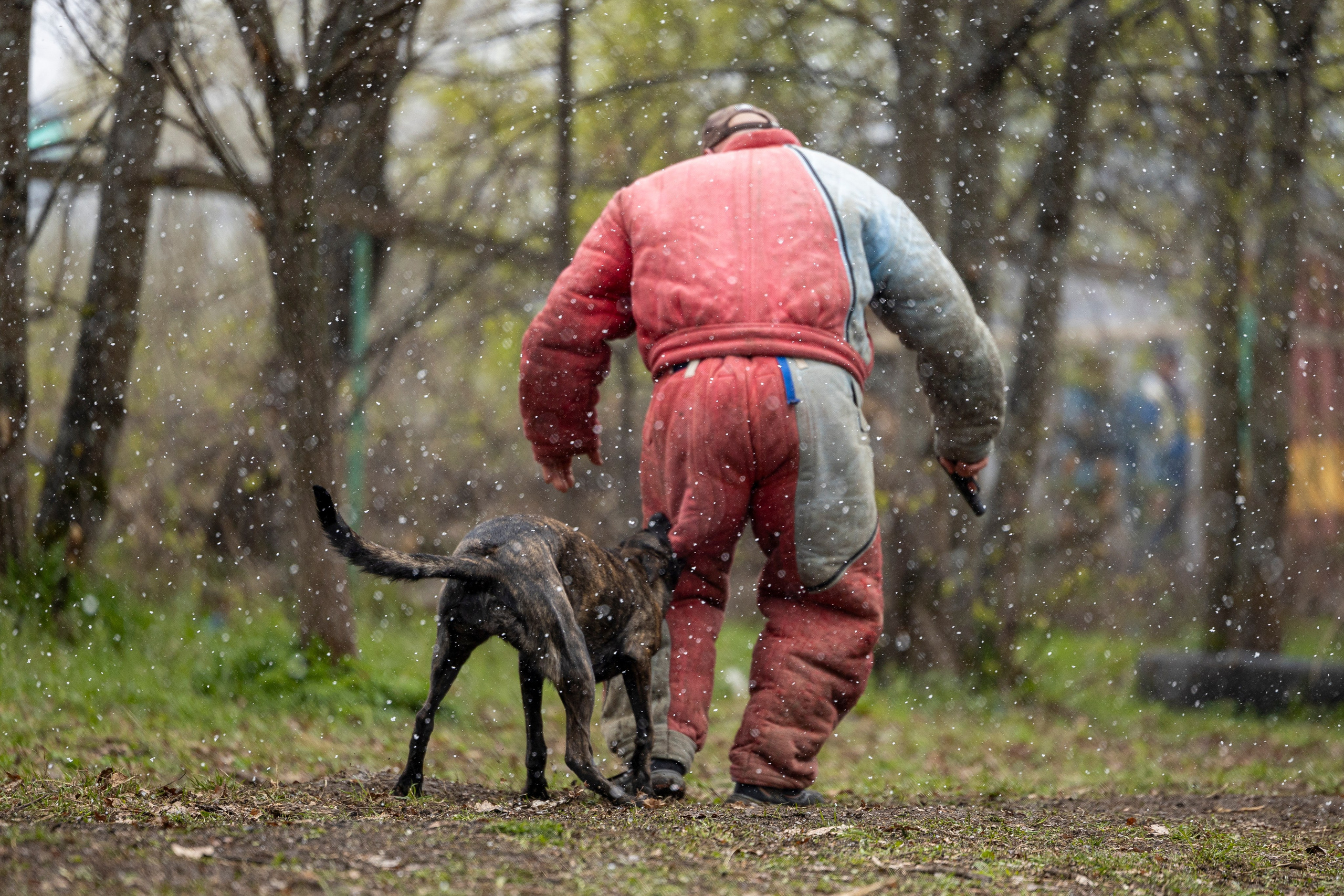 Квалификационные состязания по мондьорингу г. Вологда 11.05.24. Фотограф-анималист Анна Маринич
