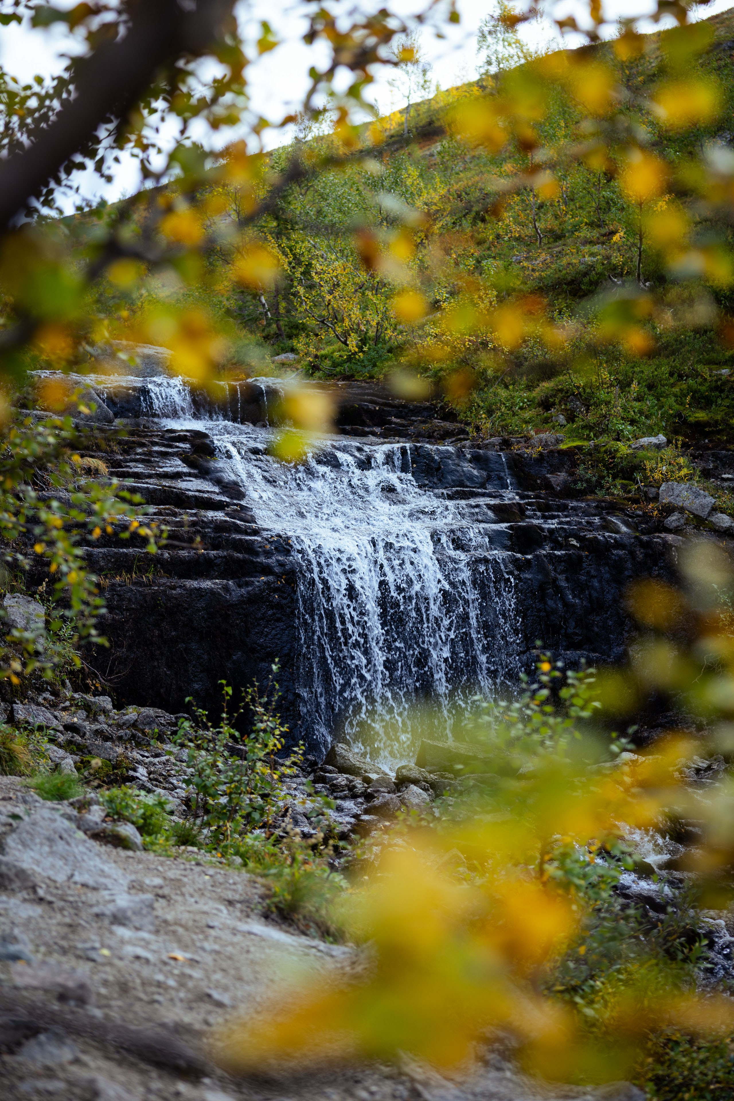 Кольский (осень 2025). Фотограф Виноградов Константин