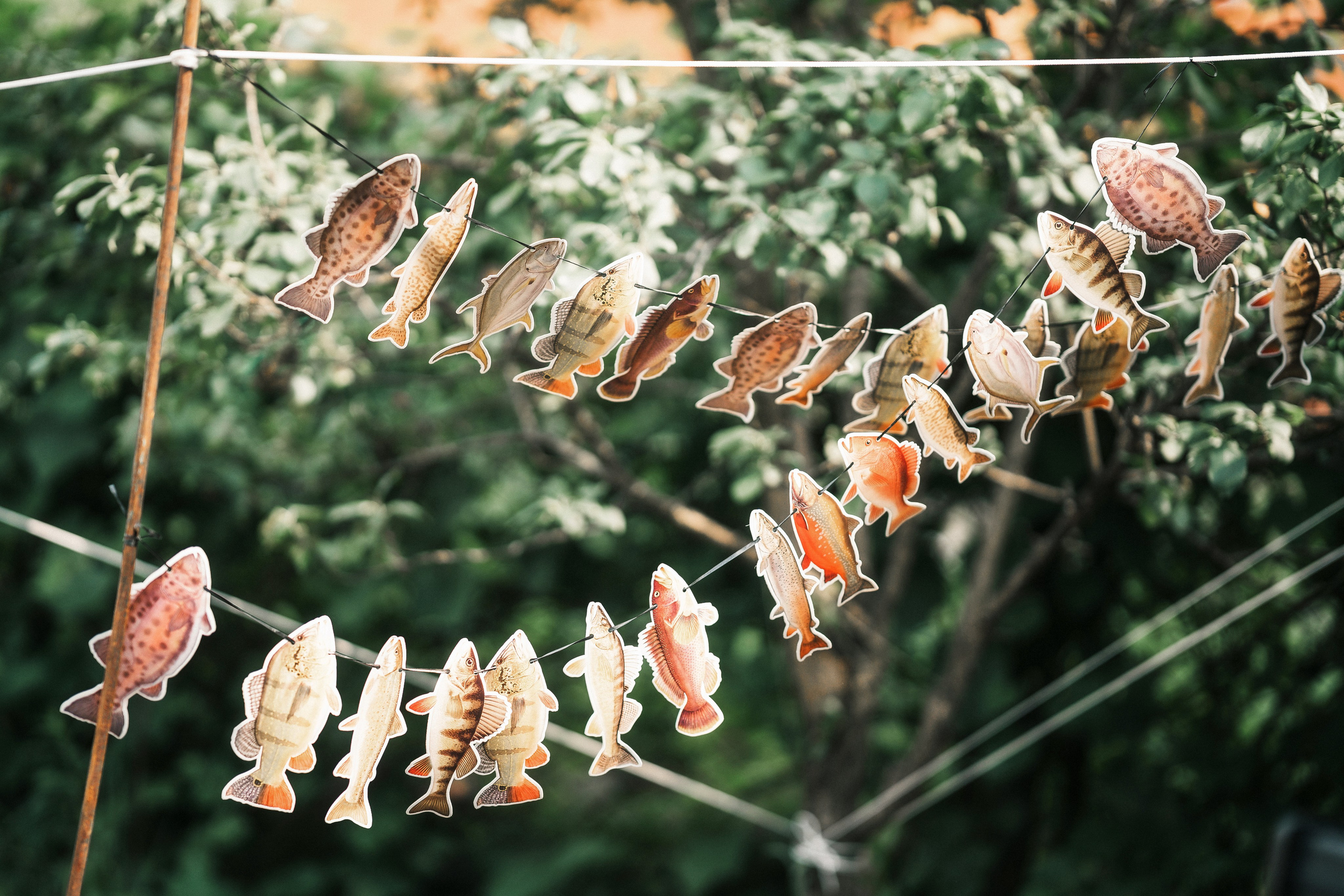 Репортажная фотосъемка юбилея в Воронеже. Свадебный и репортажный фотограф в Воронеже Роман Янко