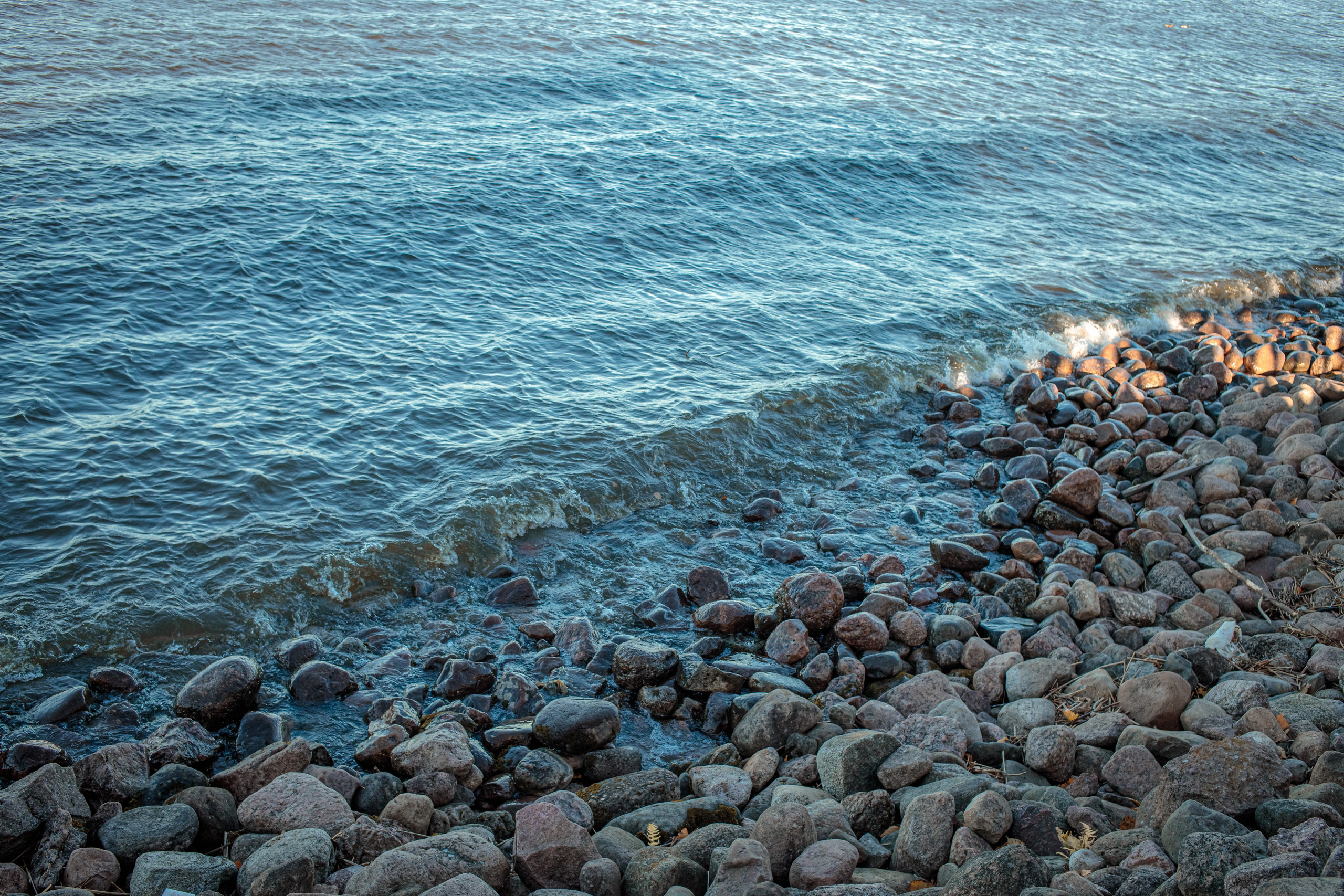 Петергоф нижний парк фото