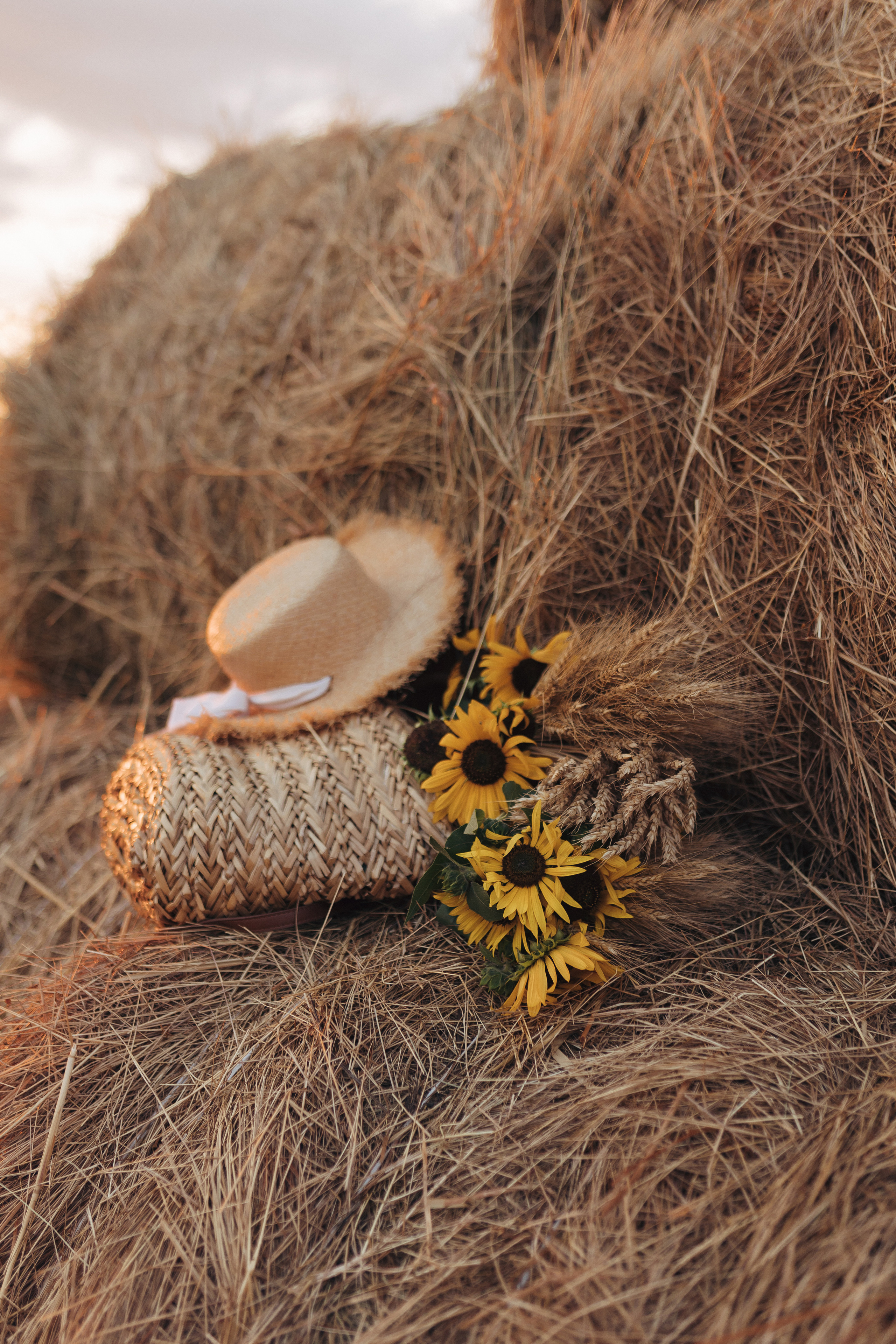 Сенокос. Свадебный и семейный фотограф в Астрахани Заскокина Анастасия