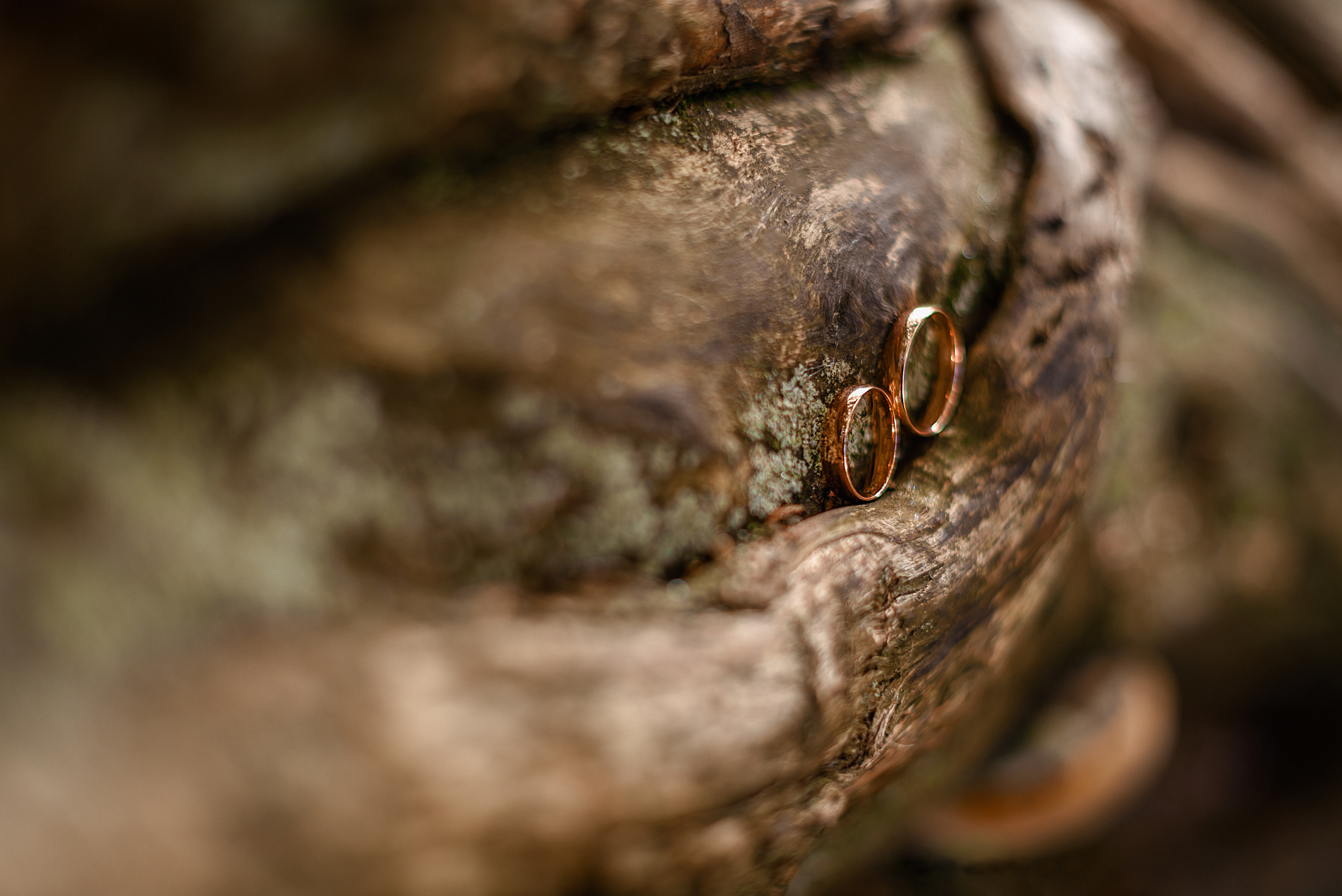Свадебная фотосъемка Анна и Алексей. Свадебный и семейный фотограф Москва, Иваново Марина Праулинь (Плаксин