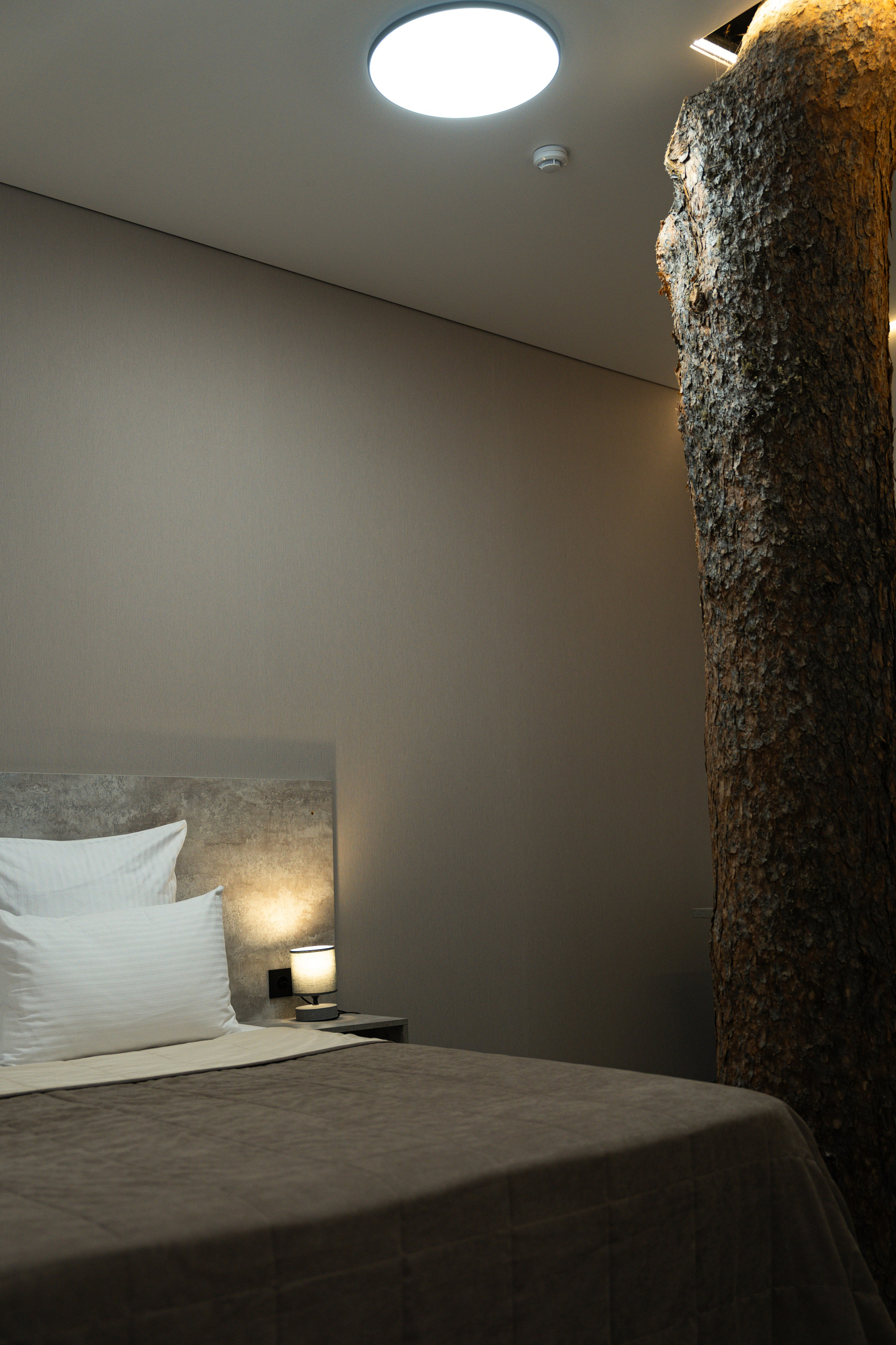 Эклер. Фотограф и видеограф Елена Хмелевская