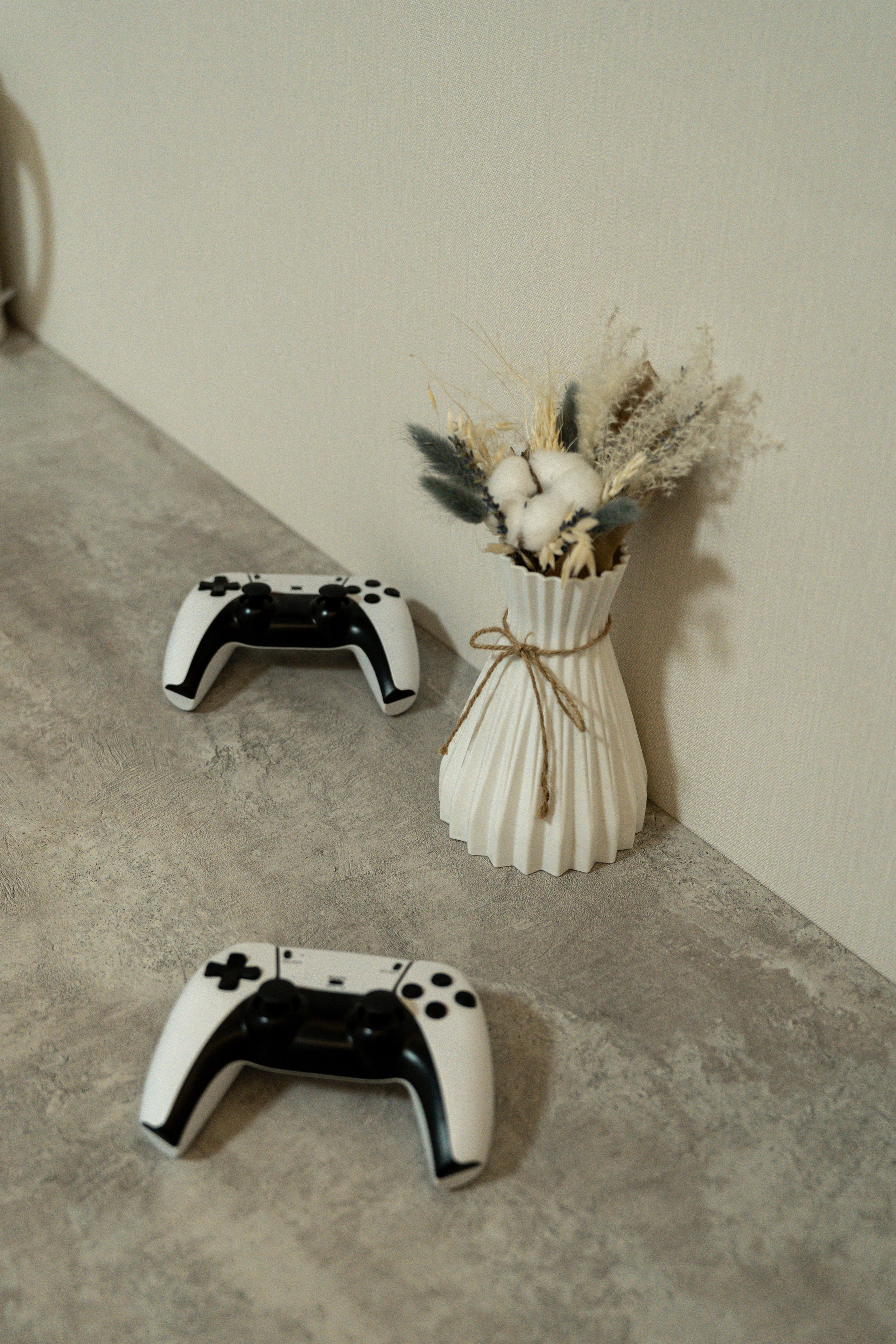 Эклер. Фотограф и видеограф Елена Хмелевская