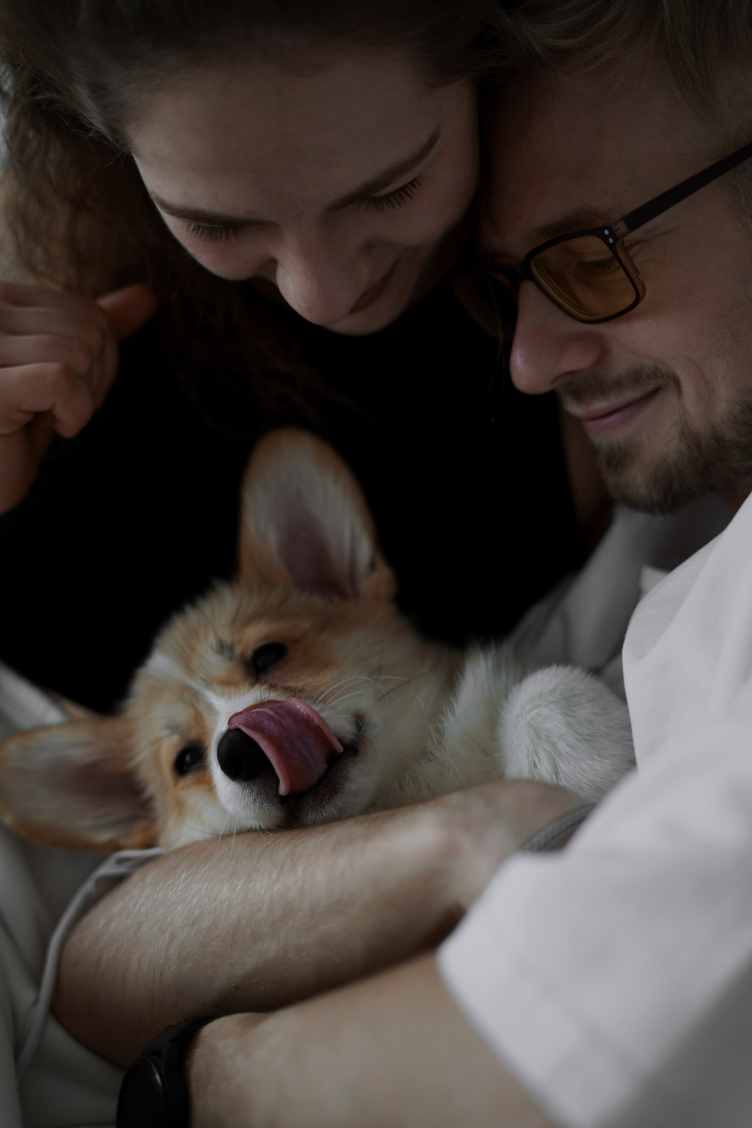 Антон&Марина&Дарси. Ваш фотограф Анастасия Болотникова