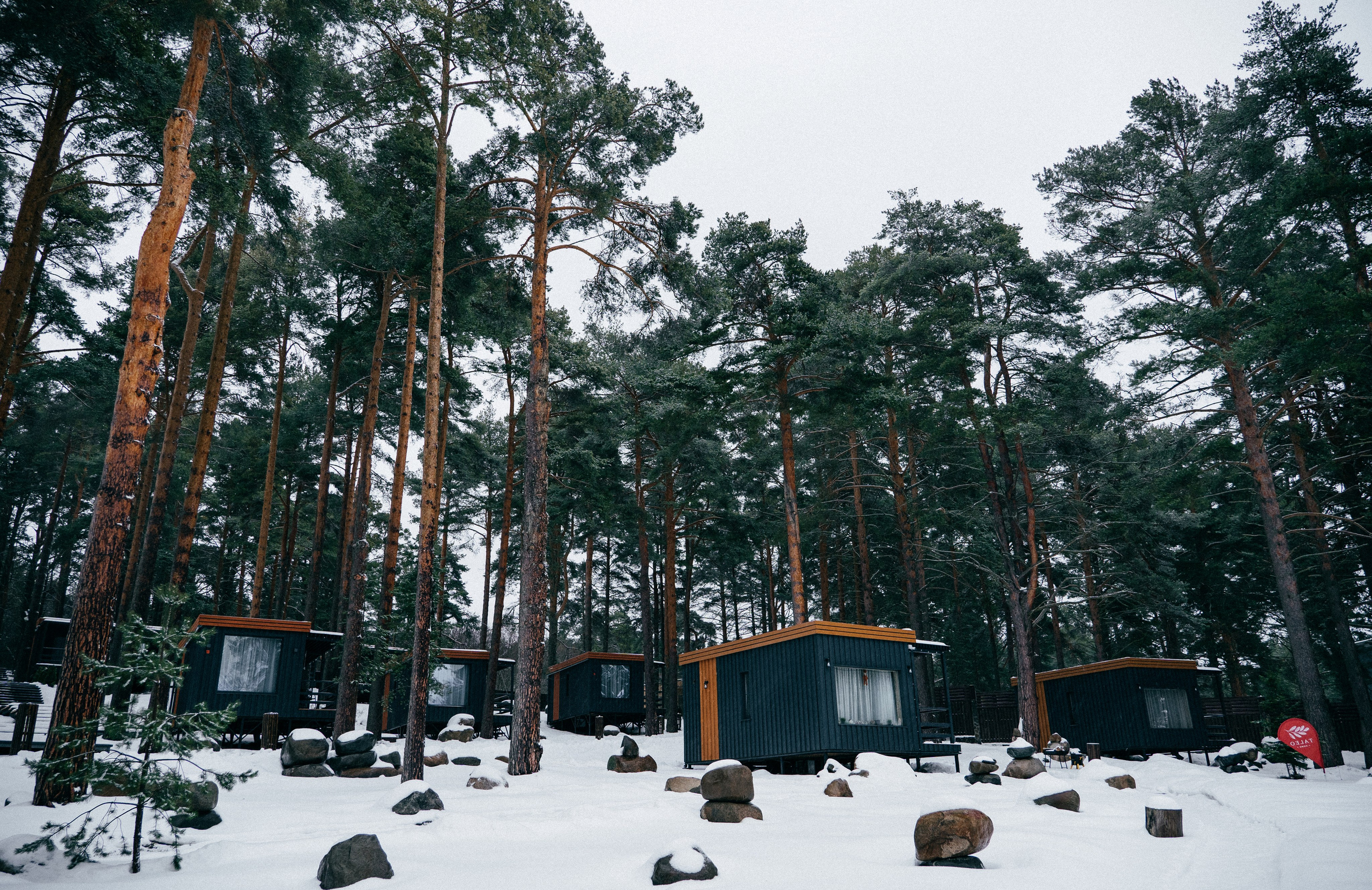 TALEO. Создание контента | Фото | Видеосъемка | Александр Ярков