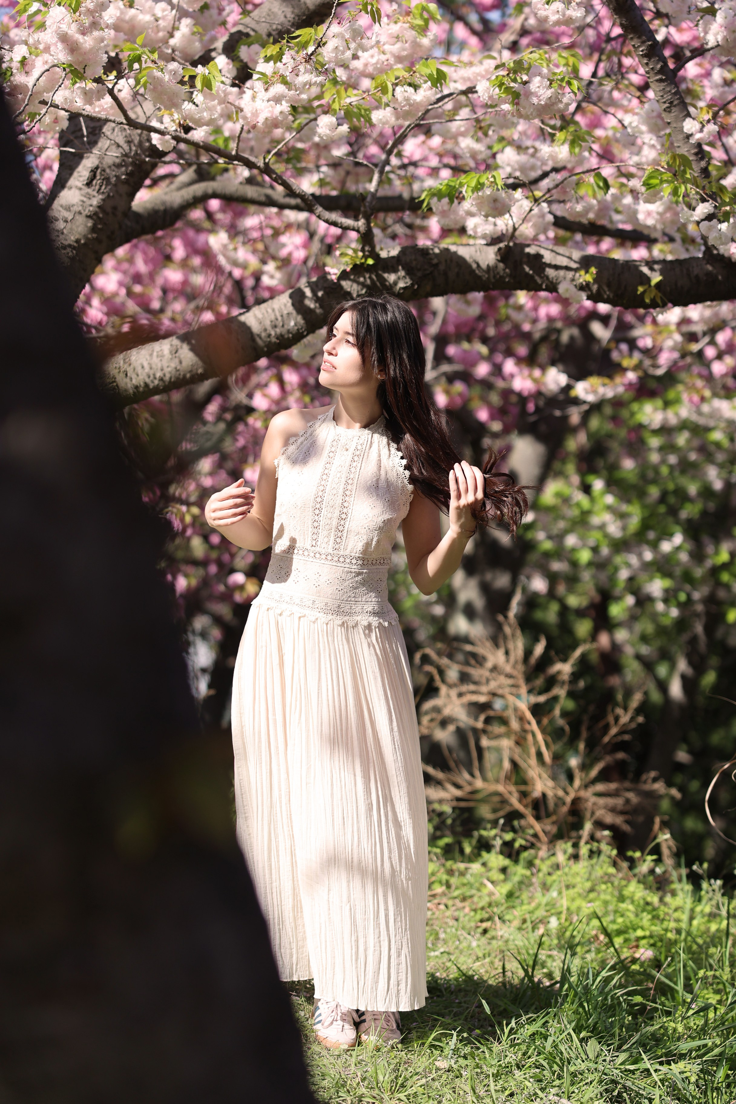 Busan Photographer. Photographer in Busan | Royal Cherry Blossom Solo Photoshoot