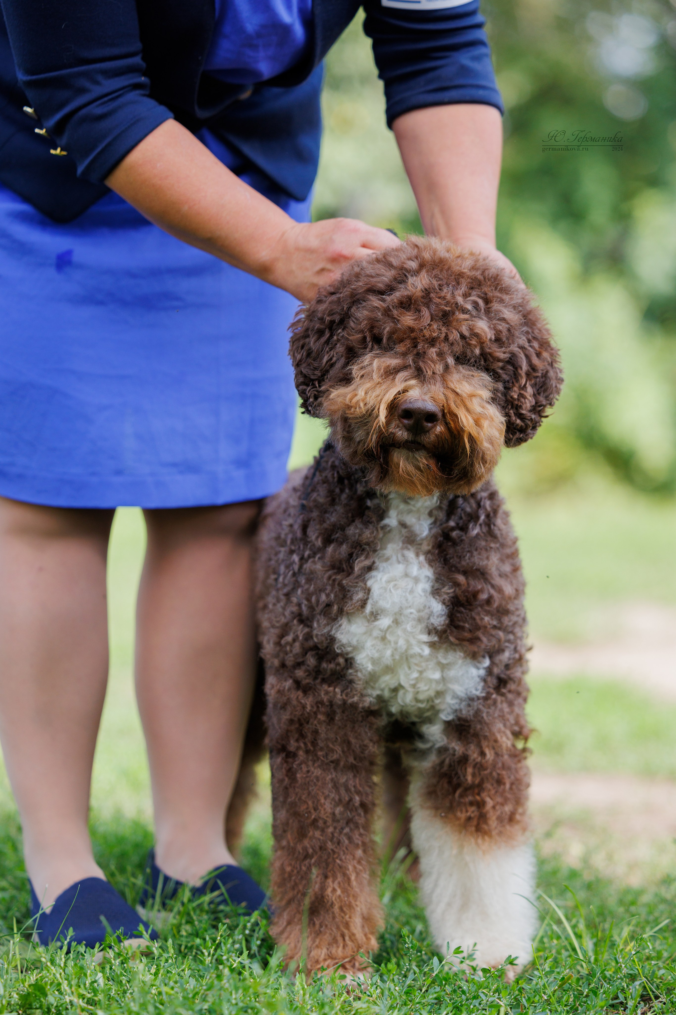 Астана 2хCACIB 17-18.08.2024. Фотограф-анималист Юлия Германика