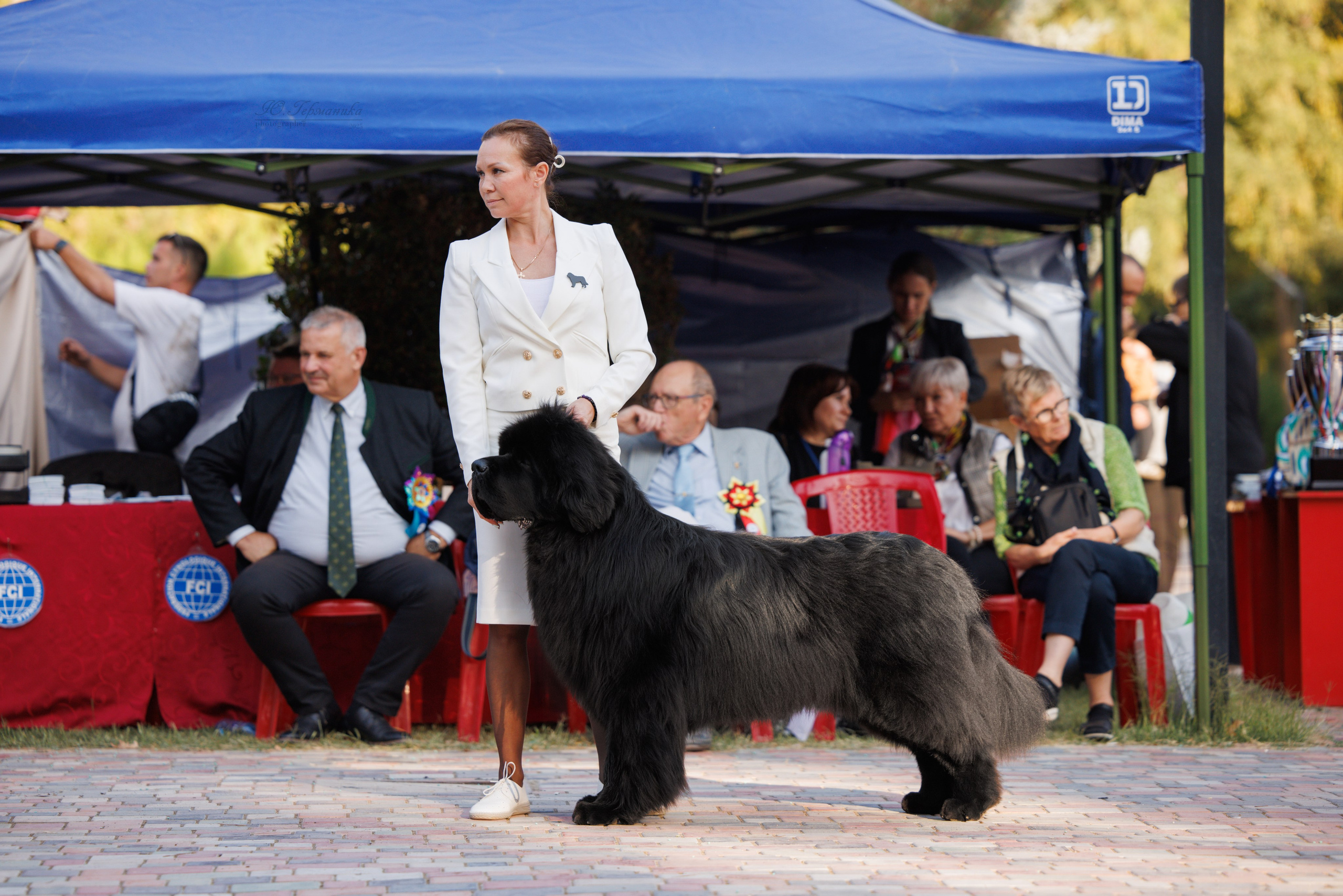 Ташкент 3хCACIB 3-5.10.2025. Фотограф-анималист Юлия Германика
