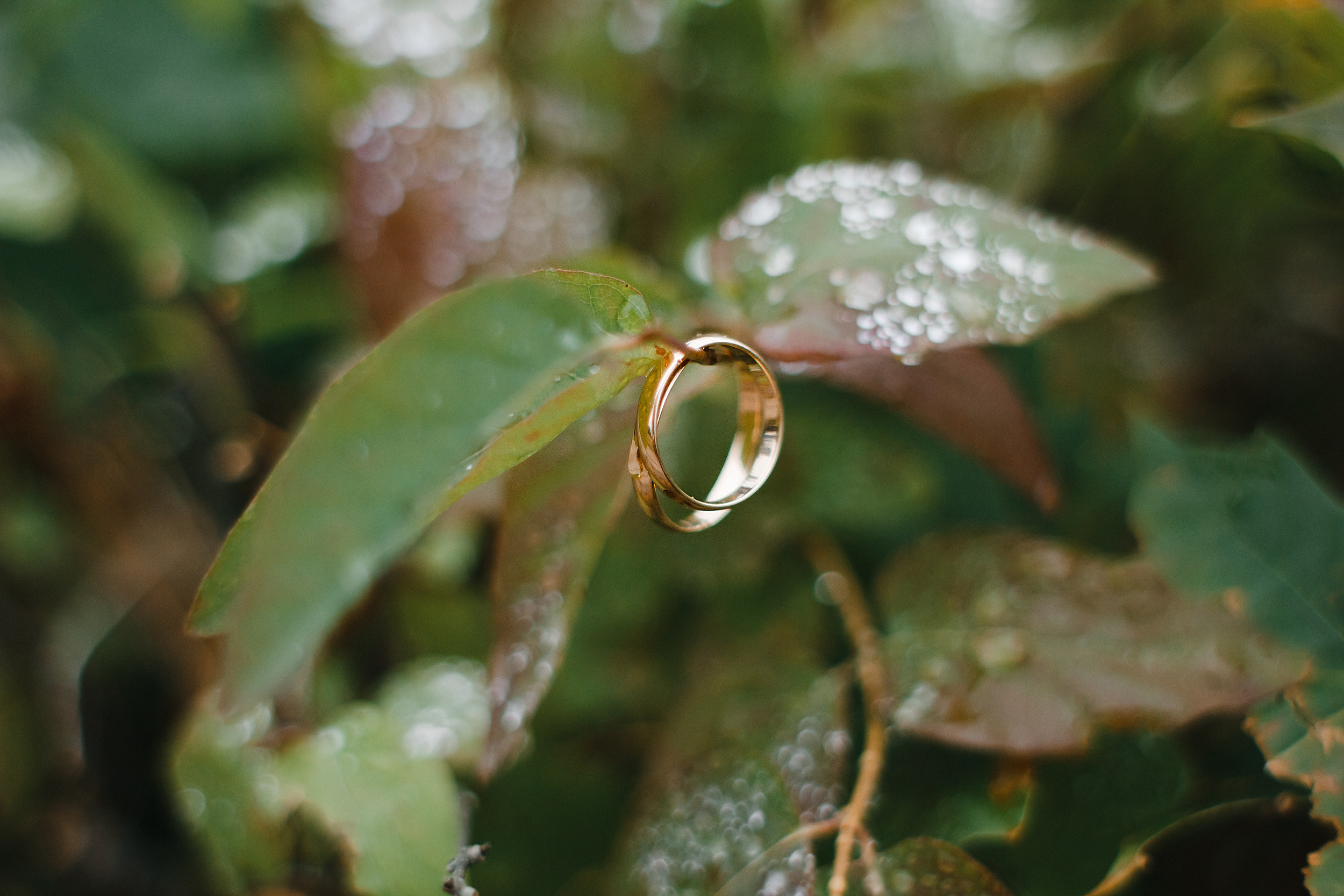 Максим и Катя. Фотограф Фототерапевт Минск