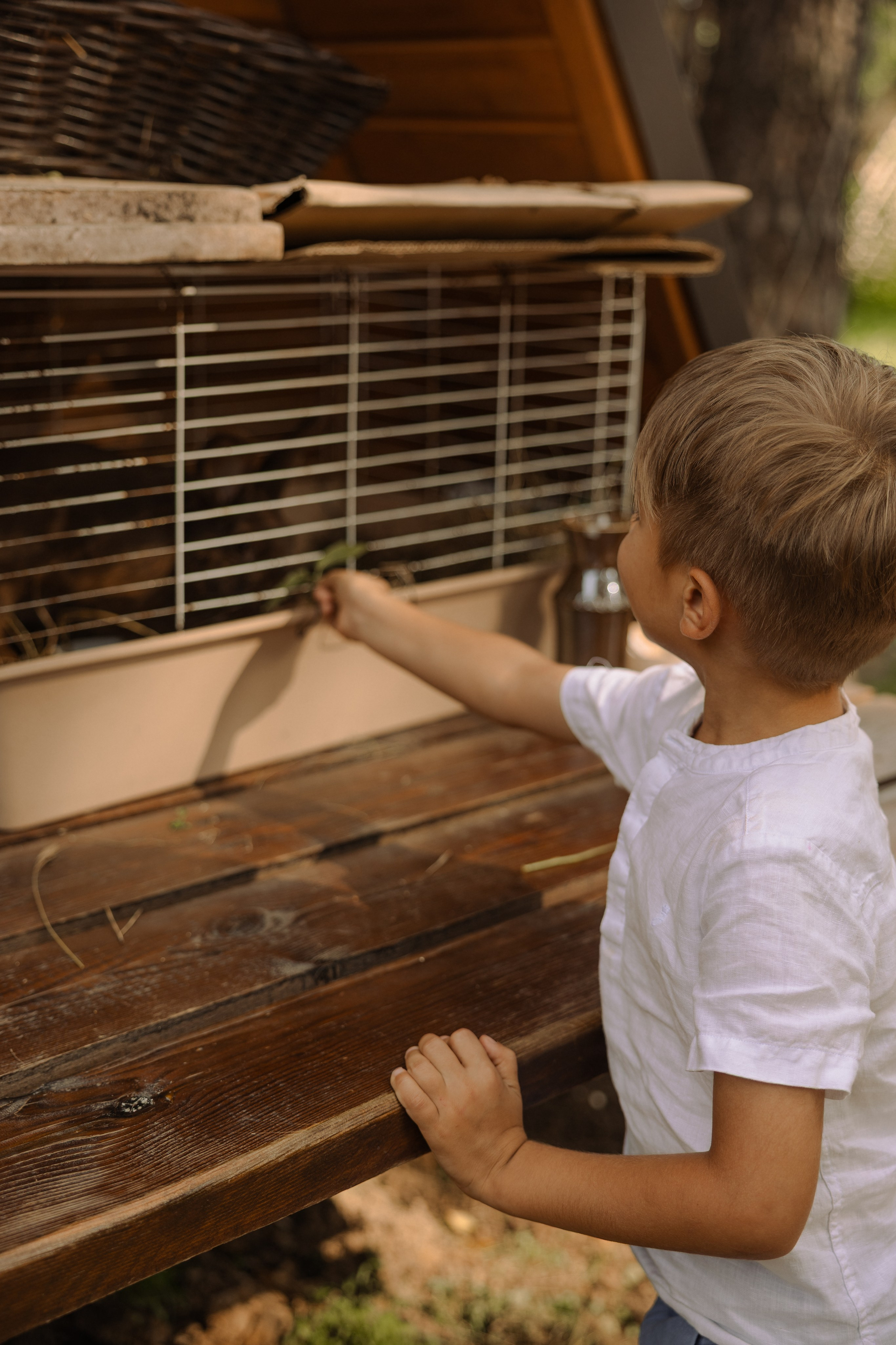 Когда семья вместе. Семейный фотограф Москва детский фотограф Одинцово фотосессия беременности Рогачева Екатерина