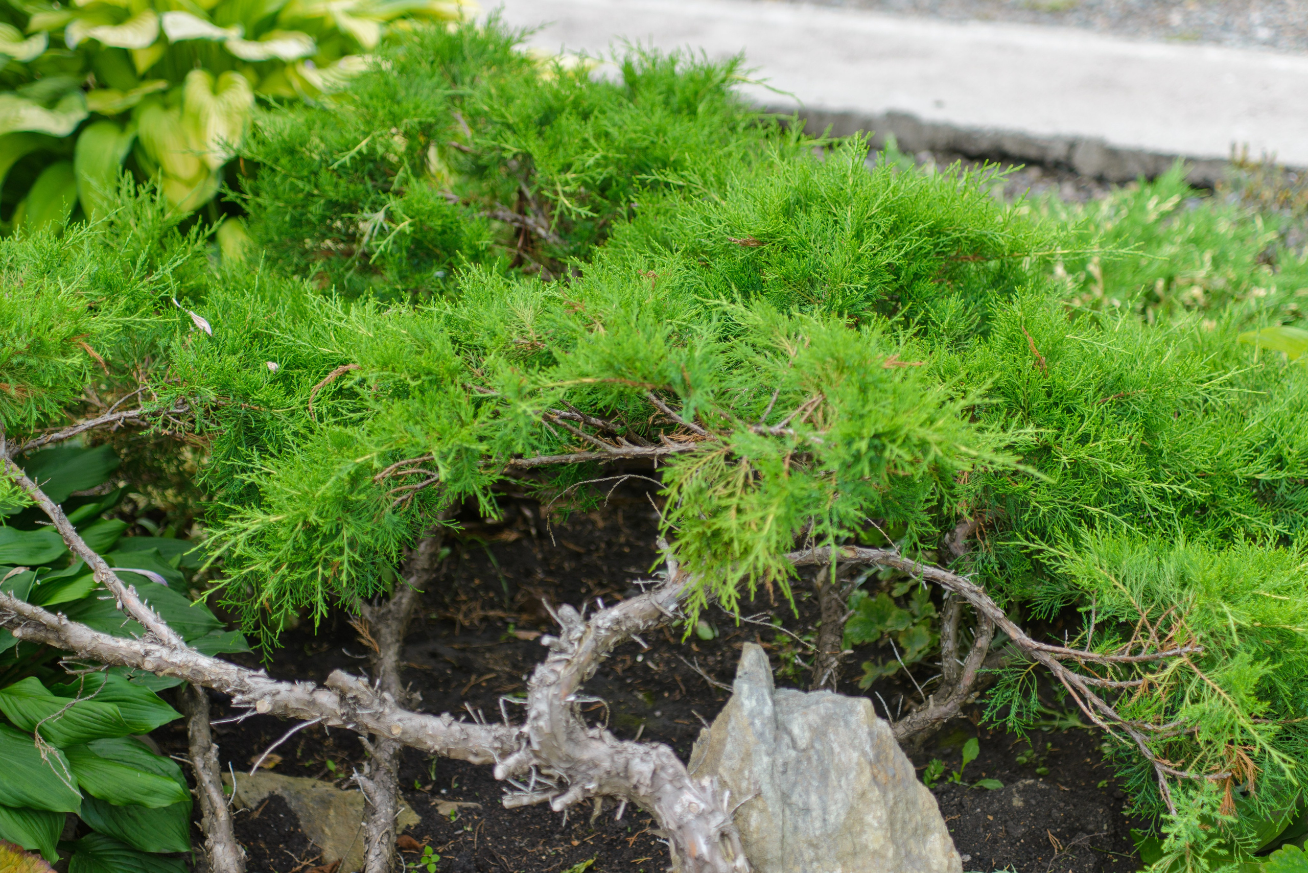 Природа. Фотограф в городе Омске Константин Зоткин