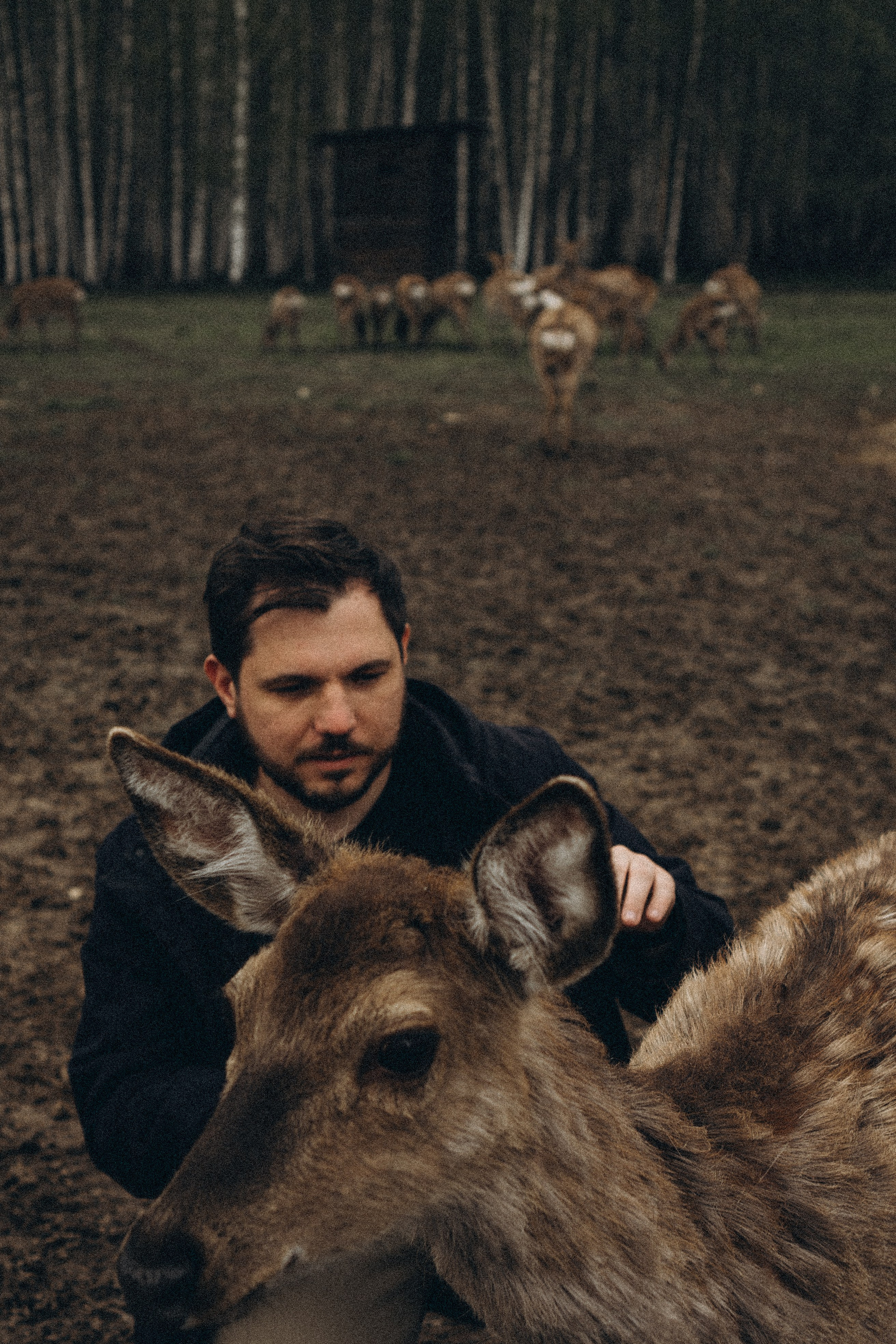 ОЛЕНЬЯ ФЕРМА В ТВЕРИ. Профессиональный фотограф, Санкт-Петербург — Виктория Богомолова